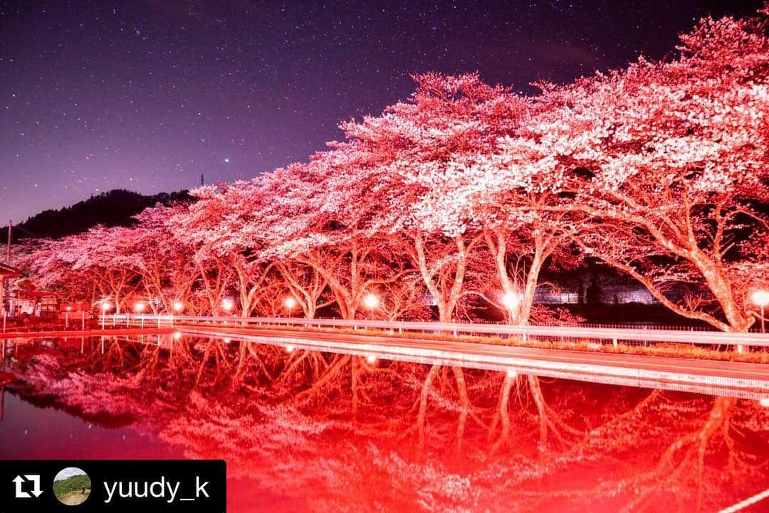Gero City【下呂市公式アカウント】さんのインスタグラム写真 - (Gero City【下呂市公式アカウント】Instagram)「#Repost @yuudy_k with @get_repost ・・・ 消灯後の八坂湖畔桜🌸  ライトアップ始まってます。 毎年見に来てるけどやっぱり綺麗✨  #ハ坂湖畔桜 #sakura #夜桜 #岐阜 #hidakanayama  #gerostagram  #下呂アンバサダー #美しい」4月10日 1時11分 - gerostagram