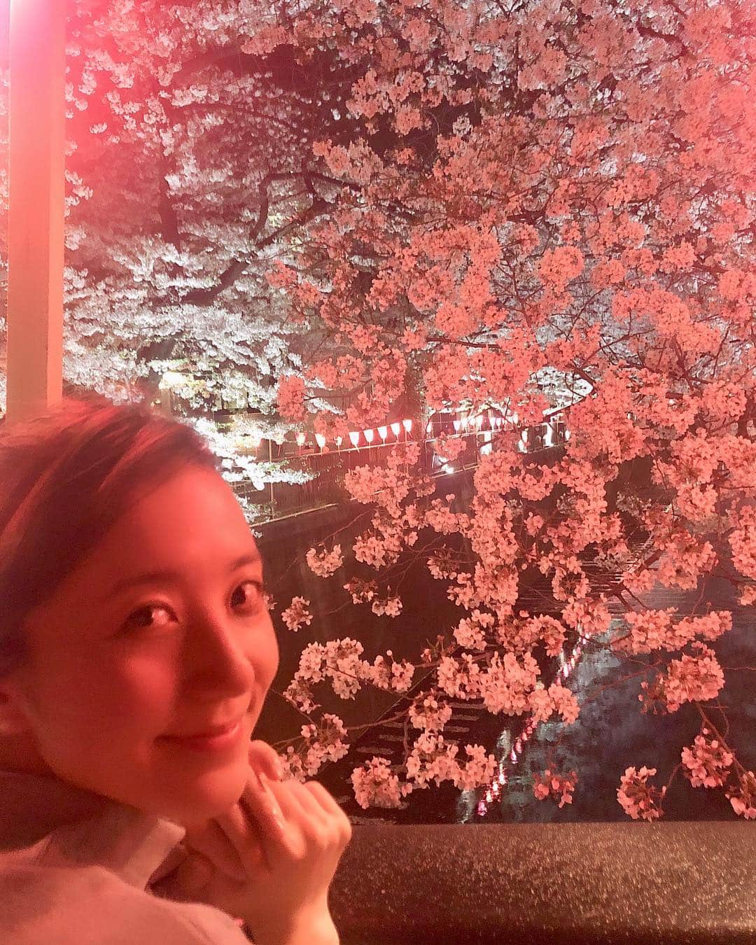 のインスタグラム：「✿ 目黒川で夜のお散歩♪ ・ ・ #目黒川桜まつり」