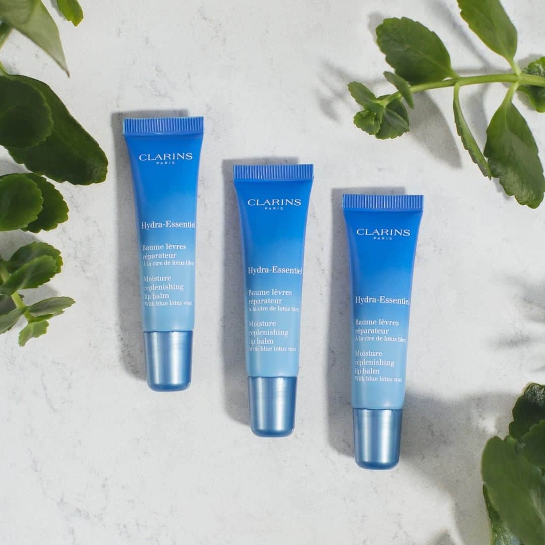 ClarinsUKさんのインスタグラム写真 - (ClarinsUKInstagram)「Hydra-Essentiel Moisture Replenishing Lip Balm -- enriched with comforting blue lotus wax, this balm's rich melt-in texture protects, hydrates and nourishes lips, restoring their natural rosy glow and plumped appearance. Pucker up and #QuenchFromWithin 💋 . . . . . . . . . . . #clarinsskincare #clarins #itsallaboutyou #lipcare #hydraessentiel #hydration #softlips #moisturisedlips #hydratedlips #hydration #organicleafoflife #succulents」4月10日 1時20分 - clarinsuk