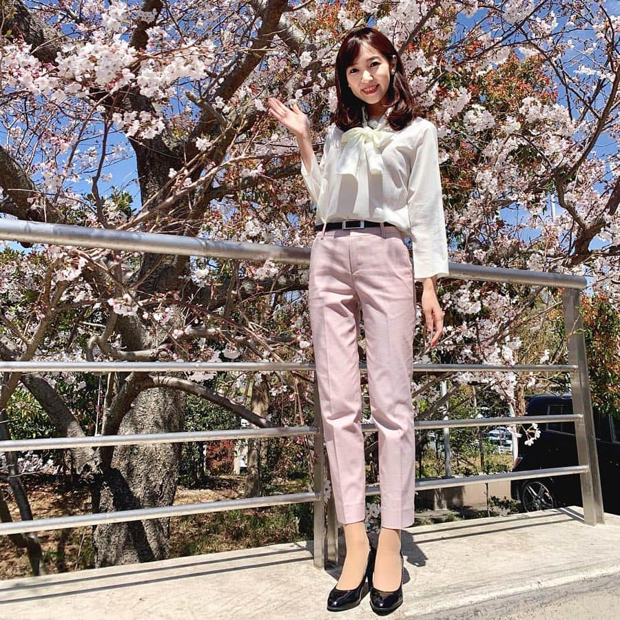 小野澤玲奈さんのインスタグラム写真 - (小野澤玲奈Instagram)「先週からつづいて今週。 月曜日とは、信じられない思い。笑  思わぬタイミングでお花見できて心がほどけた🥺🌸 桜色のパンツは#INDIVI 万能！色違いもほしいな♪  手作りの🌸アイシングクッキーもらって元気でた〜 さっき転んだ〜🥺 . . #お花見  #やっぱり私は日本人  #お仕事コーデ  #オフィスコーデ  #パンツスタイル  #勉強中  #アイシングクッキー  #手作り #すごいよね #でもごめんなさい笑 #ティッシュの上で撮影  #今週も頑張ろう  #がんばれーな」4月10日 2時14分 - reina.onozawa