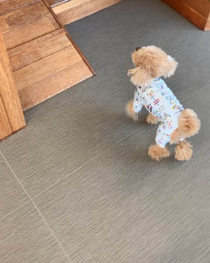 ❤︎Till❤︎のグルメインスタ