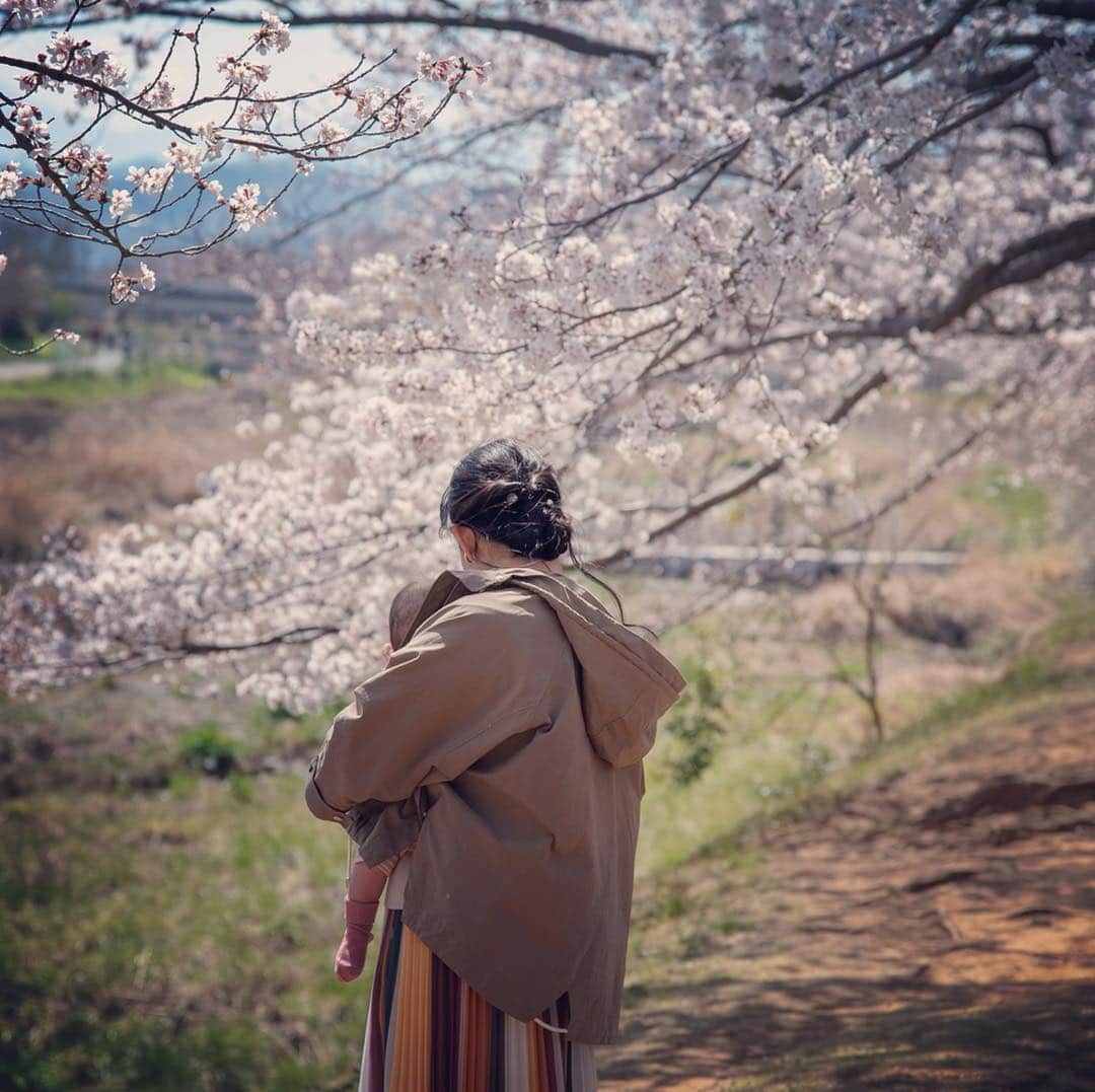 巴田みず希さんのインスタグラム写真 - (巴田みず希Instagram)「🌸 ・ 娘は7ヶ月齢で、人生初のお花見。 ・ 記憶にはきっと残らないけど、 脳みそのどっかに刻まれてる。 ・ ・ いつか大人になったら、娘が素敵なレディになったら、また同じ場所で一緒に写真を撮りたいな🤳 ・ ・ 綺麗な桜🌸 ・ 平成最後の桜が娘にとっての最初の桜✨ ・ とてもとても綺麗でした。 ・ ・ ・ #お花見 #桜 #花見 #cherryblossom #bloom #pink #コニー抱っこひも #コニー抱っこ紐 #抱っこ紐 @konny.jp #お出かけ #赤ちゃんとお出かけ #赤ちゃんと犬のいる生活 #赤ちゃんのいる生活 #7ヶ月 #7monthsbaby #whatabeautifulday #育児 #子育て #幸せな時間 #30代初ママ #新米ママと繋がりたい #ママリ #女の子ママ #babyandme #babygirl」4月10日 12時23分 - mizukitomoda