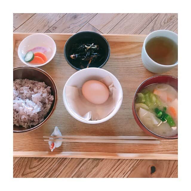 川口智美のインスタグラム：「今日、#おはようデイリーニュース の フリートークでご紹介したのは #鎌倉 駅から徒歩3分の #朝食屋コバカバ です🍳  営業時間は7:00〜14:00 #朝食 限定のお店で、  #卵かけご飯定食 (¥820)が絶品です🥚  #五穀米 なので身体にも良いですし、 モチモチのお米に 新鮮な #卵 が マッチして美味しいんです✨  #味噌汁 も優しい味で 心がほっこりしました☺️ これから毎週生放送おわりに #朝活 をして、放送エリア内の 美味しいお店を見つけたらご紹介していきますね❤️ #コバカバ #cobakaba #おはようかまくら #breakfast #kamakura #鎌倉モーニング #鎌倉ごはん #朝ご飯 #卵かけご飯 #卵好き #健康食 #さとログ」