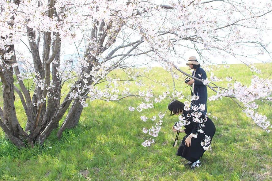 ogapiiiiiさんのインスタグラム写真 - (ogapiiiiiInstagram)「気づけば２ヶ月ぶりの投稿です…😳💦﻿﻿ ﻿﻿ 先週の日曜日、伊勢宮川堤沿いでのお花見🌸﻿﻿ ﻿﻿ ポカポカ暖かくて、とてもよいお天気でした✨✨﻿﻿ ﻿﻿ モリモリ食べて、たくさん笑って、のんびり桜を見たり写真を撮ったり撮られたり😚﻿﻿ ﻿﻿ とにかくゆるくて楽しいひと時でした🙌﻿﻿ ﻿﻿ @bois_yu ちゃん、 @accot__ ちゃん、遠いところありがとうー❤️﻿ ﻿ ﻿ それにしても今日は朝からすごい雨☔️﻿ 綺麗な桜も散ってしまうなぁ…😭﻿ ﻿ ﻿  #三重県 #伊勢市 #宮川堤 #ピクニック #ピクニック部 #お花見 #春 #桜 #桜並木 #cherryblossom #kankomie #retrip #retrip_nippon #retrip_mie #自然 #伊勢志摩 #伊勢志摩で発見 #お花見日和 #photo_japan #ig_japan  #igersjp #team_jp_  #lovers_nippon #photography #as_archive #visitjapan」4月10日 12時27分 - ogapiiiii