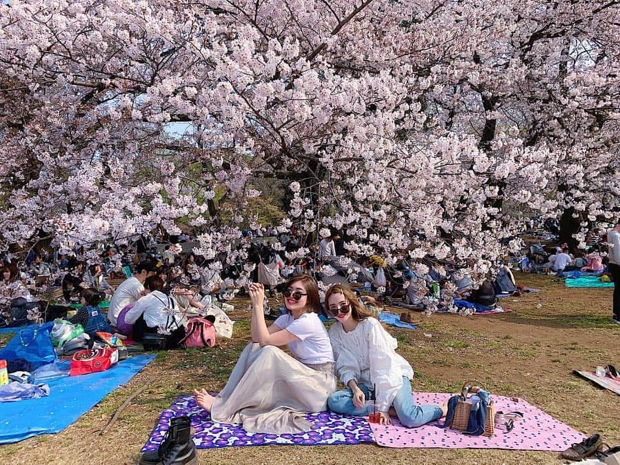 平木愛美さんのインスタグラム写真 - (平木愛美Instagram)「おはようございます💘 今日は朝から、横浜のほうのスタジオへ〜撮影中🌞 . 写真は日曜日のお花見。 このときのランチはcityshopでテイクアウトしたもの！！ 野菜たっぷりボリュームあって本当に美味しい💞  そしてDMでも質問頂いてた、フルーツサンドは #フツウニフルウツ 🍓🍌🥝 狙ってたそのフツウニフルウツは目の前の人で完売しちゃったのですが泣 ヤヨイヒメとデコポンとダブルバナナをget♡ あといちごみるく🥛 苺がしっかり入ってるヤヨイヒメはやっぱり一番美味しかったなあ！！ これからお花見シーズンが過ぎて、ただただピクニックにも、 おすすめテイクアウト〜💘 #cityshop #salad #picnic #tokyocafe  #フツウニフルウツ #お花見 #桜 #パンとエスプレッソと #フルーツサンド #砧公園」4月10日 12時29分 - manamihiraki