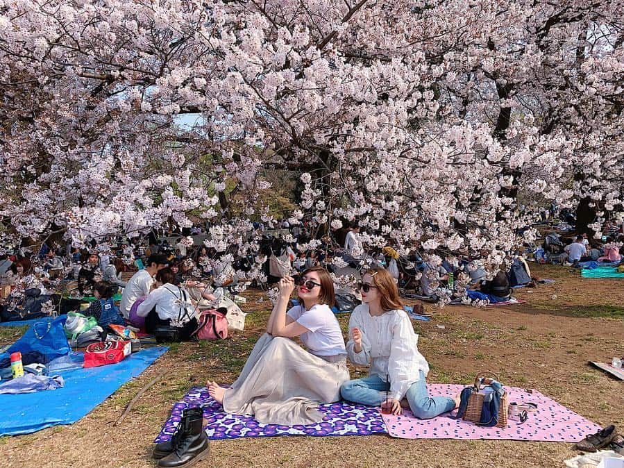 平木愛美さんのインスタグラム写真 - (平木愛美Instagram)「おはようございます💘 今日は朝から、横浜のほうのスタジオへ〜撮影中🌞 . 写真は日曜日のお花見。 このときのランチはcityshopでテイクアウトしたもの！！ 野菜たっぷりボリュームあって本当に美味しい💞  そしてDMでも質問頂いてた、フルーツサンドは #フツウニフルウツ 🍓🍌🥝 狙ってたそのフツウニフルウツは目の前の人で完売しちゃったのですが泣 ヤヨイヒメとデコポンとダブルバナナをget♡ あといちごみるく🥛 苺がしっかり入ってるヤヨイヒメはやっぱり一番美味しかったなあ！！ これからお花見シーズンが過ぎて、ただただピクニックにも、 おすすめテイクアウト〜💘 #cityshop #salad #picnic #tokyocafe  #フツウニフルウツ #お花見 #桜 #パンとエスプレッソと #フルーツサンド #砧公園」4月10日 12時29分 - manamihiraki