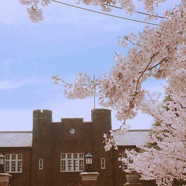 立教大学さんのインスタグラム写真 - (立教大学Instagram)「今年の桜は、今日のように咲いた後に気温が下がった日が多いためか、桜を見られる期間がだいぶ長いですね🌸（写真は満開のころのもの） . #rikkyo #rikkyouniversity #ikebukuro #池袋 #立教 #立教大学 #桜 #cherryblossom #coregraphy #photography #ファインダー越しの私の世界 Photo by satori」4月10日 12時50分 - rikkyouniv