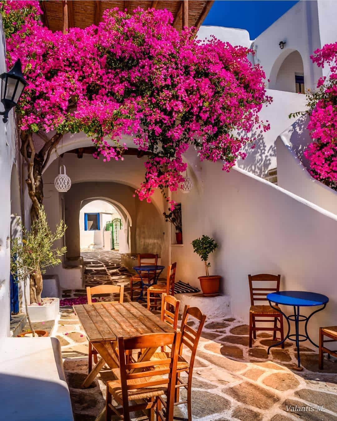 Wonderful Placesさんのインスタグラム写真 - (Wonderful PlacesInstagram)「Paros Island - Greece ✨🌺🌺🌺✨ . Picture by ✨✨@minogiannisvalantis✨✨ #wonderful_places for a feature 💖」4月10日 13時03分 - wonderful_places