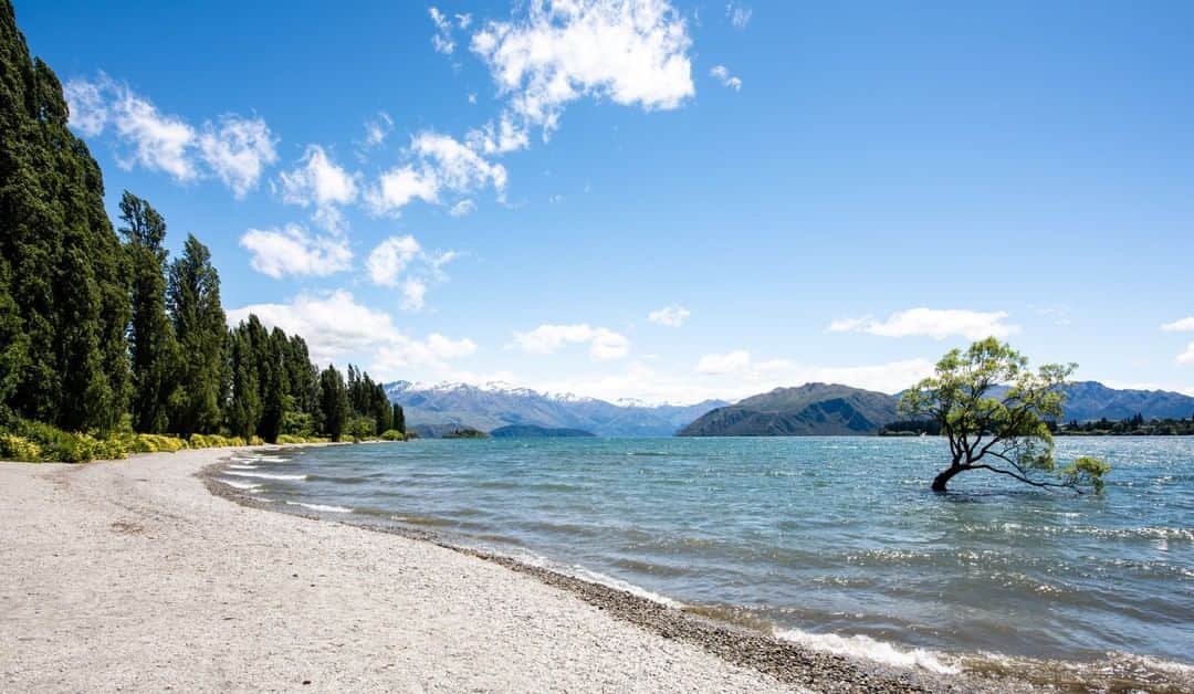National Geographic Travelさんのインスタグラム写真 - (National Geographic TravelInstagram)「Photo by Ifeoma Ozoma @ifyozoma | A life of fame brought, in large part, by a solitary existence. This lone tree, in a lake in the Southern Alps has become quite the draw due to its unusual placement and beautiful backdrop. The influx of visitors has been great for small businesses in town, but difficult for park management and nearby residents. For more photos of public lands, follow @ifyozoma. #newzealand」4月10日 13時05分 - natgeotravel