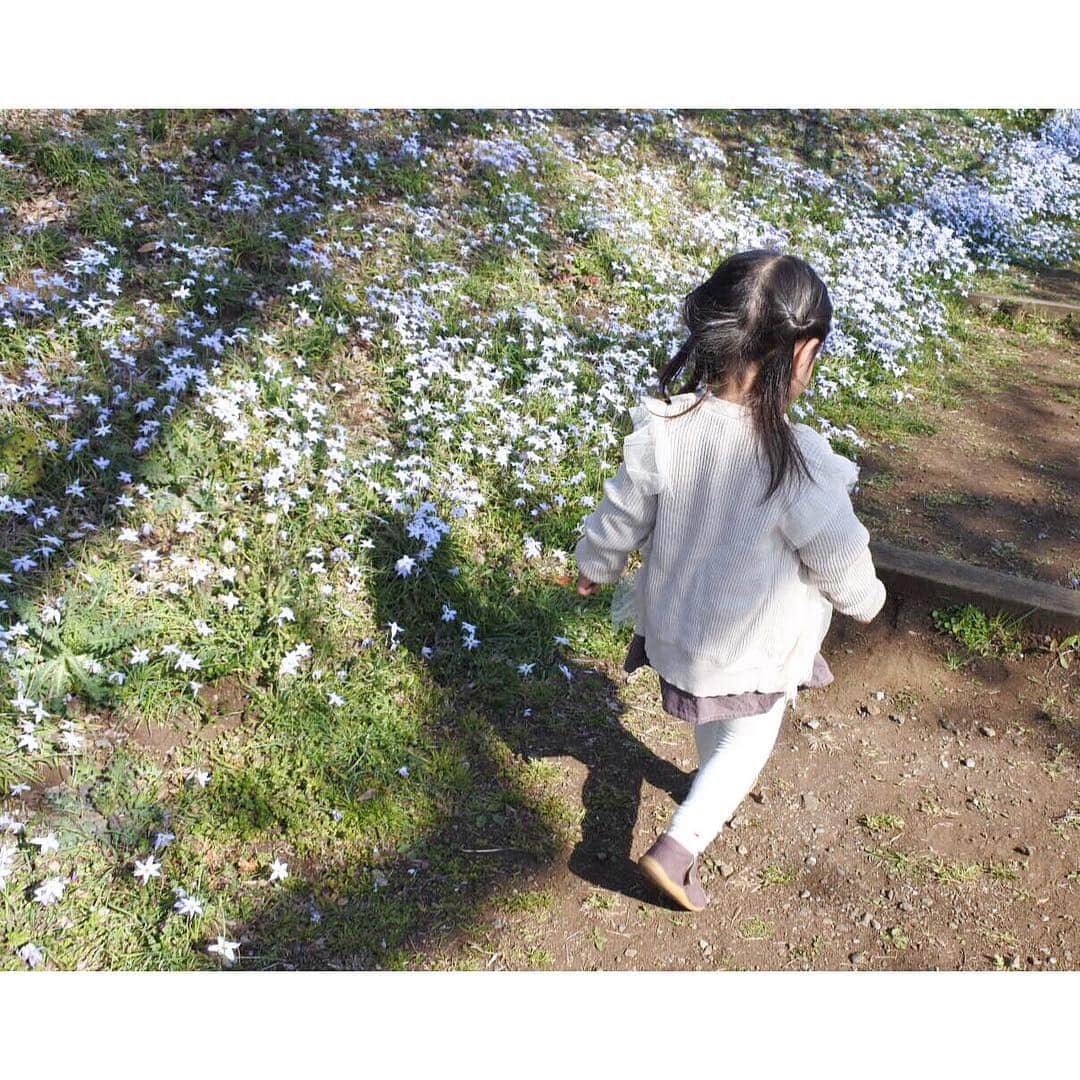 nanaさんのインスタグラム写真 - (nanaInstagram)「* お花見の時の写真👧🏻🌸 キレイ🤤 * 今日は寒すぎです…❄️ * * #桜 #お花見 #さくら #娘 #むすめ #2歳 #2歳9ヶ月 #花と娘 #子供と暮らす #petitmain #instagood #sakura #sakura🌸 #cherryblossom #kidstagram #🌸」4月10日 13時24分 - nana7_photo