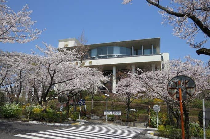 Soka Universityさんのインスタグラム写真 - (Soka UniversityInstagram)「Campus Seasonal Photos April ② 丹木の歳時記 卯月②  #discoversoka #sodaigram #sokauniversity #創価大学 #hachioji #八王子 #tokyo #東京 #campus #キャンパス #april #4月 #卯月 #international #国際 #diverse #多様性 #cherryblossom #桜 #spring #春 #students #学生」4月10日 13時28分 - sokauniversity