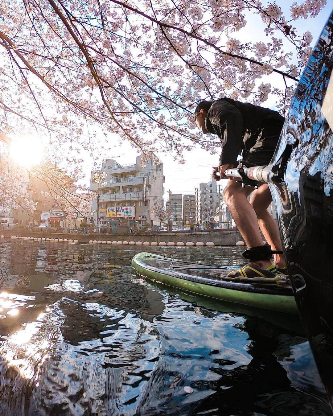 goproさんのインスタグラム写真 - (goproInstagram)「#TripOn Challenge is in full bloom. 🌸 #GoProAwards recipient @taika_kishida received $500 for this shot from #Japan. • Want to earn cash while you travel? Submit your #GoProTravel content to gopro.com/awards for the opportunity. • • • @GoProJP #GoProJP #GoPro #PaddleBoard #AdventureTravel」4月10日 4時53分 - gopro