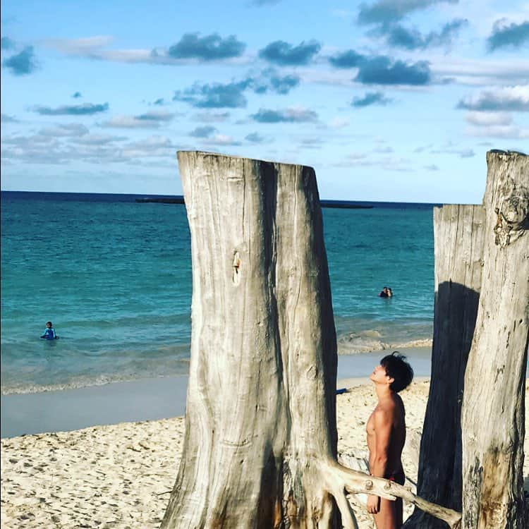 保田賢也さんのインスタグラム写真 - (保田賢也Instagram)「. good day☺︎ 天気良くなかったけどキレイだったよ. 毎日いろんな人に会えて嬉しい‼️ . #hawaii  #kailua #beach #ミーヤキャットみたい」4月10日 5時57分 - kenya_yasuda_