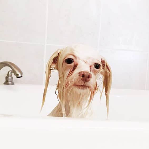 モービーさんのインスタグラム写真 - (モービーInstagram)「#selfie」4月10日 6時10分 - moby
