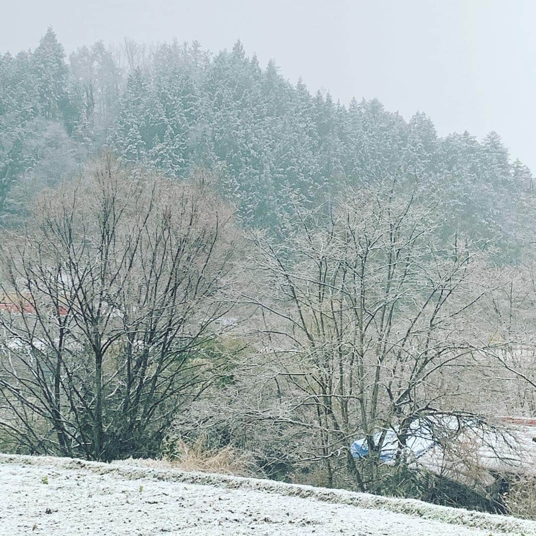 都竹悦子さんのインスタグラム写真 - (都竹悦子Instagram)「みぞれがまだ降ってます。 春ですか、今？😵 #2019年4月10日 #飛騨高山」4月10日 6時15分 - etsukotsuzuku