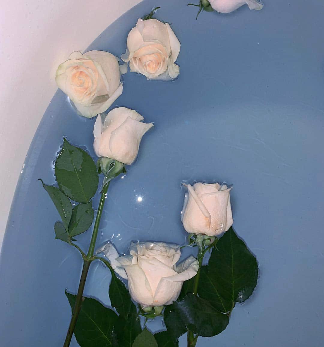 のインスタグラム：「no vase needed 🌹 from @jourdansloane」
