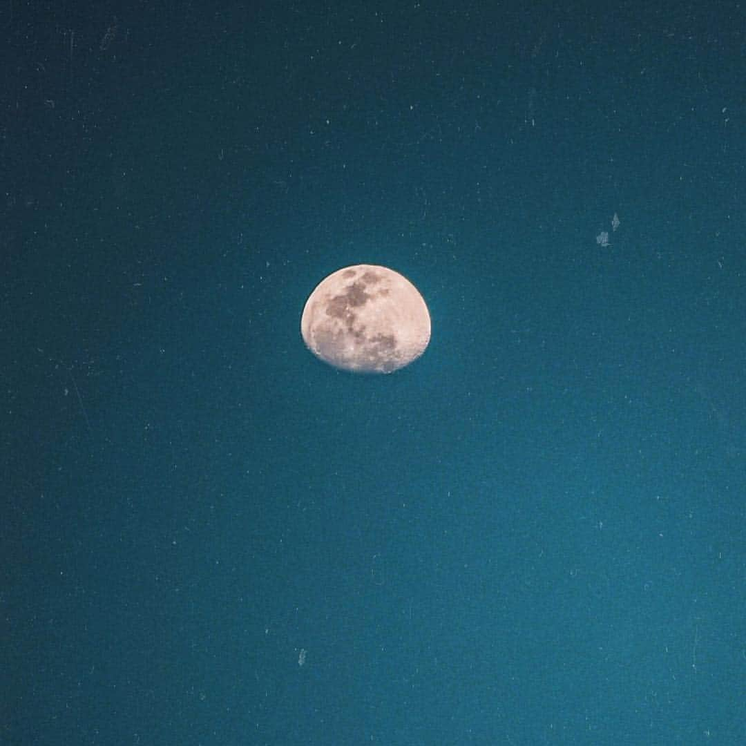 フィービー・ディ・トマソさんのインスタグラム写真 - (フィービー・ディ・トマソInstagram)「‘And like the moon, we must go through phases of emptiness to feel full again’ ✨ Aannnnd that’s as deep as yo gon’ get from me today peeps 💁🏻‍♀️ #allthedepth #wednesday #wisdom #sofullRN Words & Things by @velvetgolddreams 🌙」4月10日 7時10分 - phoebeditommaso