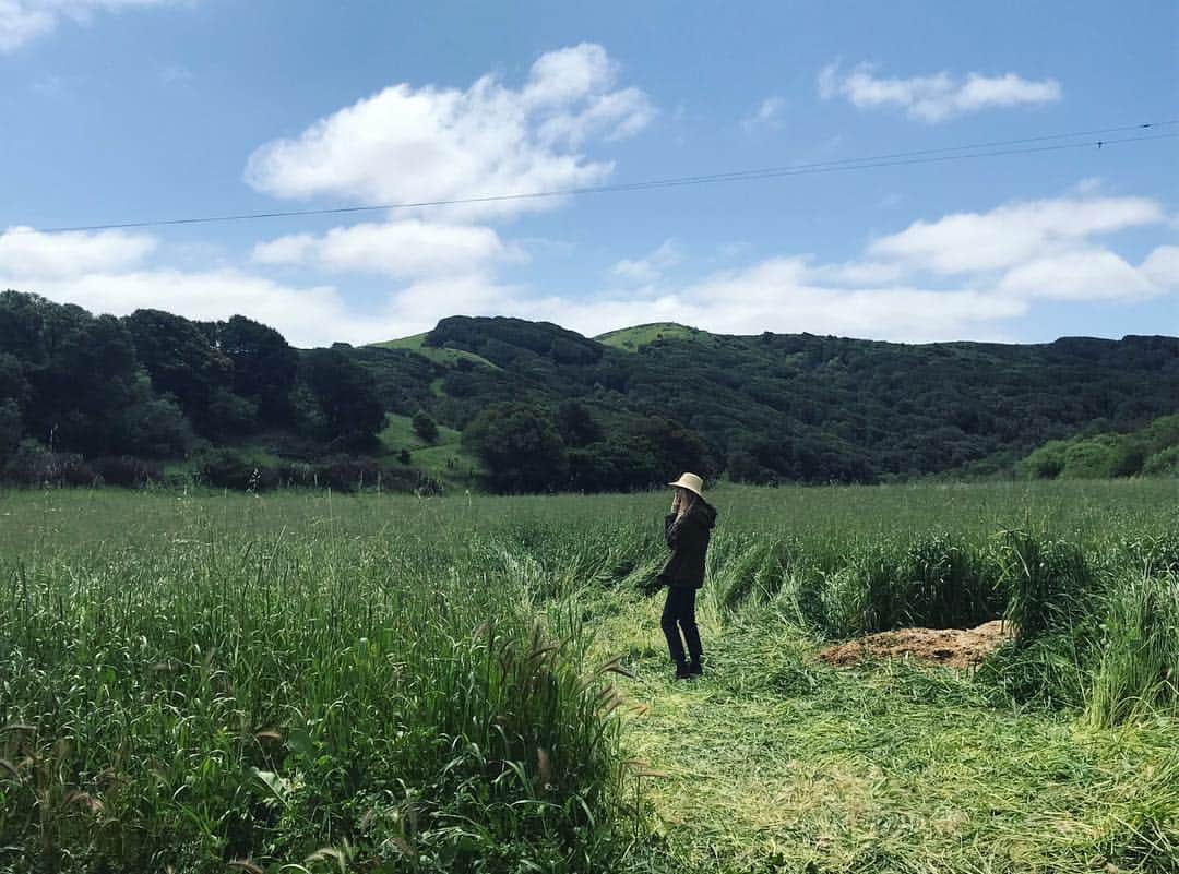 のインスタグラム：「location scouting // part II #theoa // 📷 @audreyebbs」