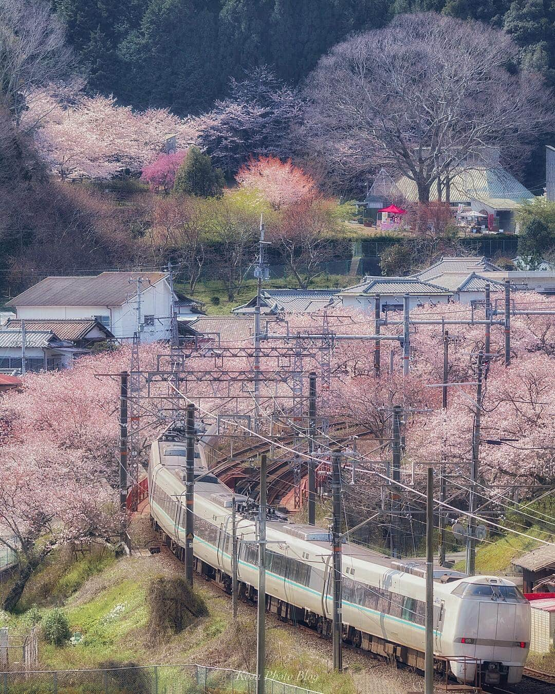 コサさんのインスタグラム写真 - (コサInstagram)「🚃🌸桜電車🌸🚃 数年ぶりに山中渓で撮り鉄してきました 60-600mm そこそこ重いけど、やっぱり頼りになります . Location:大阪 Osaka/Japan Data:2019.4.4 . #art_of_japan_ #tokyocameraclub #dpj_member #team_jp_ #IG_PHOS #photo_jpn #ptk_japan #pt_life_ #bestjapanpics #Lovers_Nippon #light_nikon #sorakataphoto #LBJ_members #japan_great_view #広がり同盟メンバー #nipponpic_member #special_spot_member #Rox_Captures #IGersJP #桜旅のセカイ #rox_sp2019 #LBJ_桜2019 #as_桜2019 #team_jp_春色2019 #bestjapanpics_桜2019一部 #花びら大回転2019 #Japan_Daytime_View #はなまっぷ #photo_travelers #photo_shorttrip」4月10日 7時45分 - kosa_photo