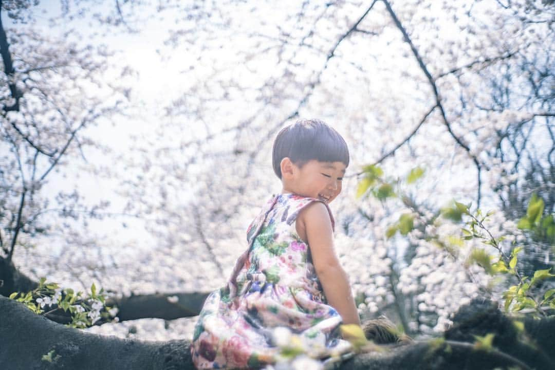 才賀紀左衛門さんのインスタグラム写真 - (才賀紀左衛門Instagram)「#写真 #桜 #photo #春 #家族 #family #ファミリー #オーダースーツ #ファッション #公園 #park #かわいい #笑顔 #smile #娘 #愛娘 #四つ葉のクローバー #癒し #カメラマン #カメラ #最高 #写真 #花見 #花 #幸せ #東京カメラ部」4月10日 7時57分 - kizaemon0213