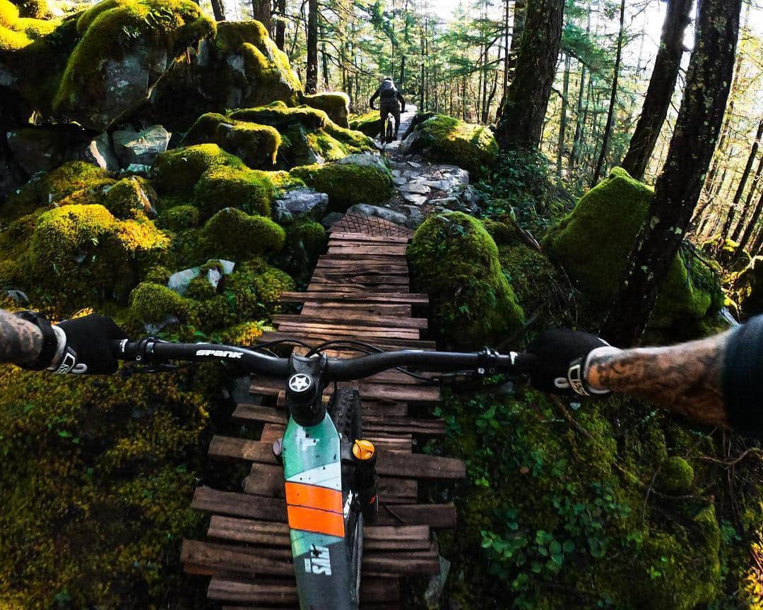 goproさんのインスタグラム写真 - (goproInstagram)「Photo of the Day: Dewy days in North Vancouver with #GoProAthlete @geoffgulevich + #GoProHERO7 Black. • Save $50 on the all new #GoProHERO7 Black today. Link in bio to shop. • • • #TripOn #GoProTravel #GoProMTB #GoPro #GullyversTravels」4月10日 8時09分 - gopro
