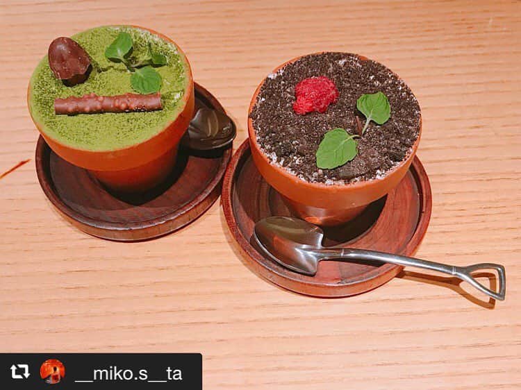 ハレノヒのインスタグラム：「#repost @__miko.s__ta via @PhotoAroundApp . #ハレノヒ #新宿 #ルミネエスト #cafe  #フラワーポット #植木鉢デザート @__miko.s__t様 ご来店ありがとうございます😊お写真も嬉しいです♪ #かわいい#ケーキ#ここでしか食べられない#スイーツ#flowerpot#ズコット#抹茶#ミニ#cafe#cute#harenohi#tokyo#shinjuku#lumineest#cake」