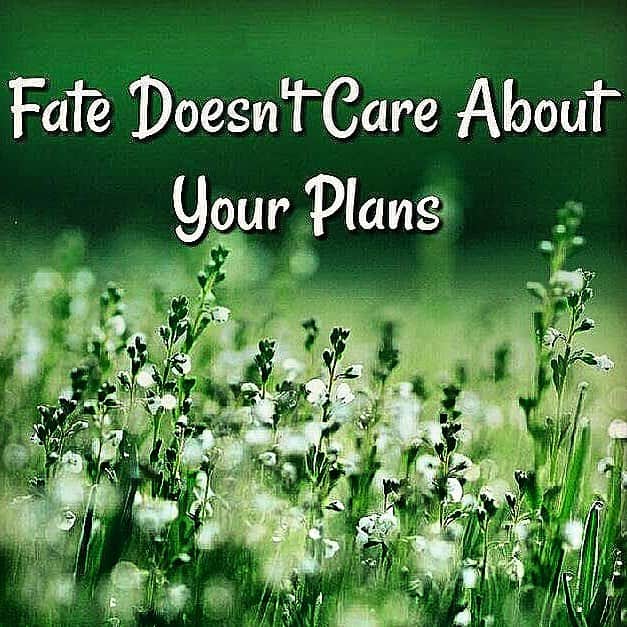 シャーニ・ヴィンソンのインスタグラム：「Set your goals in concrete and your plans in sand... 👣 #fate #destiny」