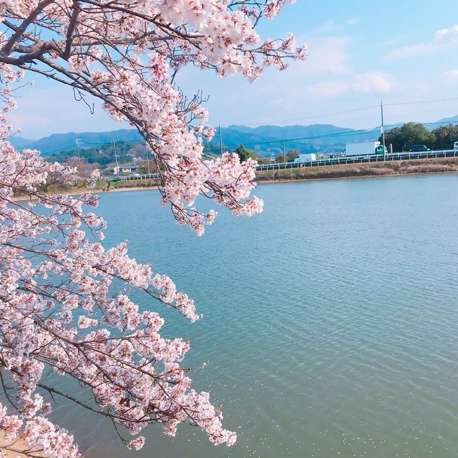 松井絵里奈さんのインスタグラム写真 - (松井絵里奈Instagram)「さくら🌸 春の訪れを感じます。 春は別れと出会いの季節。 出会ってきた人に感謝をし、 これから出会う人に 私と出会って良かったって思ってもらえる人になろう✨ ・ 先輩からよくしていただいた ご厚意は、「後輩に返してね♪」と教わってきました。 その時が今に来ているのかなと。 ・ 若い頃は、全てに受け身でしたが この歳になると、 ものすごい速さで過ぎていく時の流れに焦りさえも感じつつ、 キチンと今を生きて、 与えてきてもらった分、与えられる人になりたい。なるべきだと思います。 ・ さくらが咲き誇ると、その美しさに、ハッとします。 そして、美しく舞いに舞う姿に魅了されます。 ・ 「桜（サクラ）」の花言葉は 「精神の美」「優雅な女性」 八重桜の花言葉は 「おしとやか」「豊かな教養」 ・ そんな桜を故郷奈良で眺められている今に感謝でした。 #🌸 #四季#JAPAN #さくら #cherryblossom  #奈良 #nara #かしはらし#橿原市 #花言葉#女性#美しさ#儚い #お花が好き #お花が好きな人と繋がりたい  #松井絵里奈」4月10日 8時20分 - erina74xx