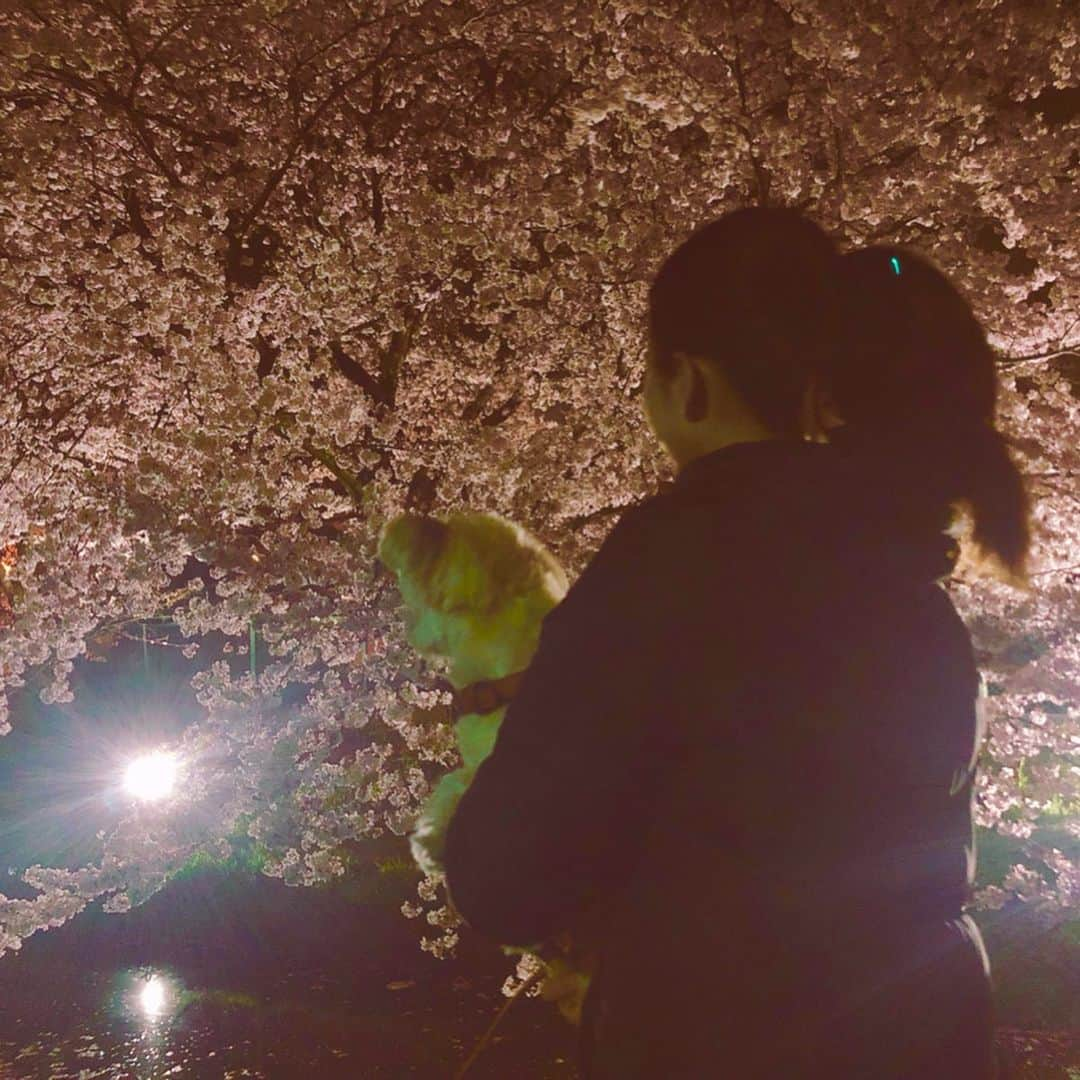 松井絵里奈さんのインスタグラム写真 - (松井絵里奈Instagram)「さくら🌸 春の訪れを感じます。 春は別れと出会いの季節。 出会ってきた人に感謝をし、 これから出会う人に 私と出会って良かったって思ってもらえる人になろう✨ ・ 先輩からよくしていただいた ご厚意は、「後輩に返してね♪」と教わってきました。 その時が今に来ているのかなと。 ・ 若い頃は、全てに受け身でしたが この歳になると、 ものすごい速さで過ぎていく時の流れに焦りさえも感じつつ、 キチンと今を生きて、 与えてきてもらった分、与えられる人になりたい。なるべきだと思います。 ・ さくらが咲き誇ると、その美しさに、ハッとします。 そして、美しく舞いに舞う姿に魅了されます。 ・ 「桜（サクラ）」の花言葉は 「精神の美」「優雅な女性」 八重桜の花言葉は 「おしとやか」「豊かな教養」 ・ そんな桜を故郷奈良で眺められている今に感謝でした。 #🌸 #四季#JAPAN #さくら #cherryblossom  #奈良 #nara #かしはらし#橿原市 #花言葉#女性#美しさ#儚い #お花が好き #お花が好きな人と繋がりたい  #松井絵里奈」4月10日 8時20分 - erina74xx