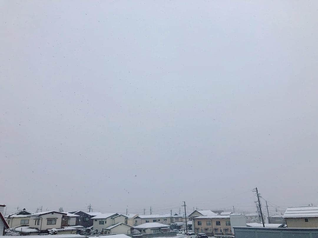 ラン?さんのインスタグラム写真 - (ラン?Instagram)「おはようございます❄☃❄☃めっちゃ雪降ってるよおおおお❄☃ ☆ ランさん、昨夜は、お布団の間に挟まって寝てました( ˘ω˘ ) ｽﾔｧ…♡ なんか、一緒に遊んでたから、2匹転がってるね(^-^)笑 ☆ #うさぎ #ネザーランドドワーフ #rabbit #bunny #bunnystagram  #rabbitstagram  #cute  #かわいい #ふわもこ部  #もふもふ  #zip写真部  #アニマル写真部 #instagramjapan #netherlanddwarf #うさぎと暮らす  #うさぎのいる暮らし #癒し #kawaii #ランちゃん  #キリショー #金爆 2019.04.10」4月10日 8時25分 - mofumofuusako