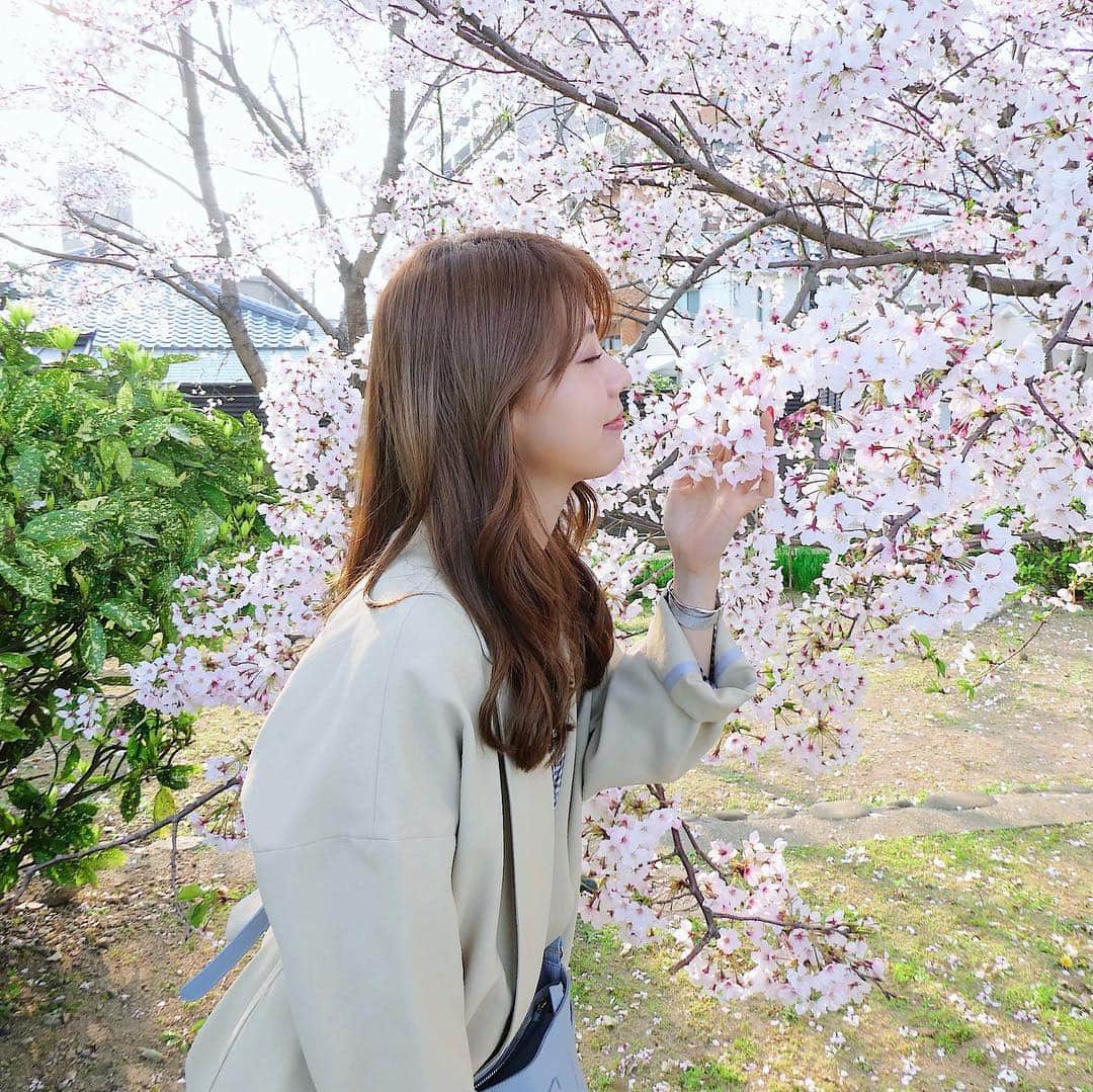 悠衣さんのインスタグラム写真 - (悠衣Instagram)「🌸 今日の雨で散っちゃうかな？ ・ 今年は2回お花見できた🌸 ・ #🌸#桜#花見」4月10日 8時32分 - yu1_1987