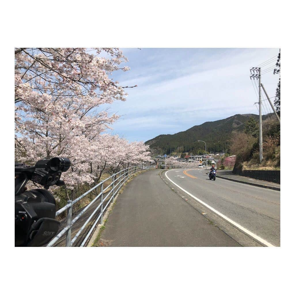 宇田恵菜さんのインスタグラム写真 - (宇田恵菜Instagram)「nomura.x 愛媛県西予市野村町、 実はこんな最高な道があるのです！ ライダー、ドライバーにはたまらない最高ロード！ ——————————————— #actresslife #女優 #地方ロケ #ロケ撮影 #役者 #女性ライダー #バイク女子 #食レポ #レポーター #宇田恵菜 #愛媛県松山市 #愛媛出身 #大野ケ原 #ツーリングナビ #likeawind #野村町 #愛媛県 #カワサキ女子 #ridding #womanrider #ZRX1200r #kawasaki」4月10日 8時40分 - ena2727