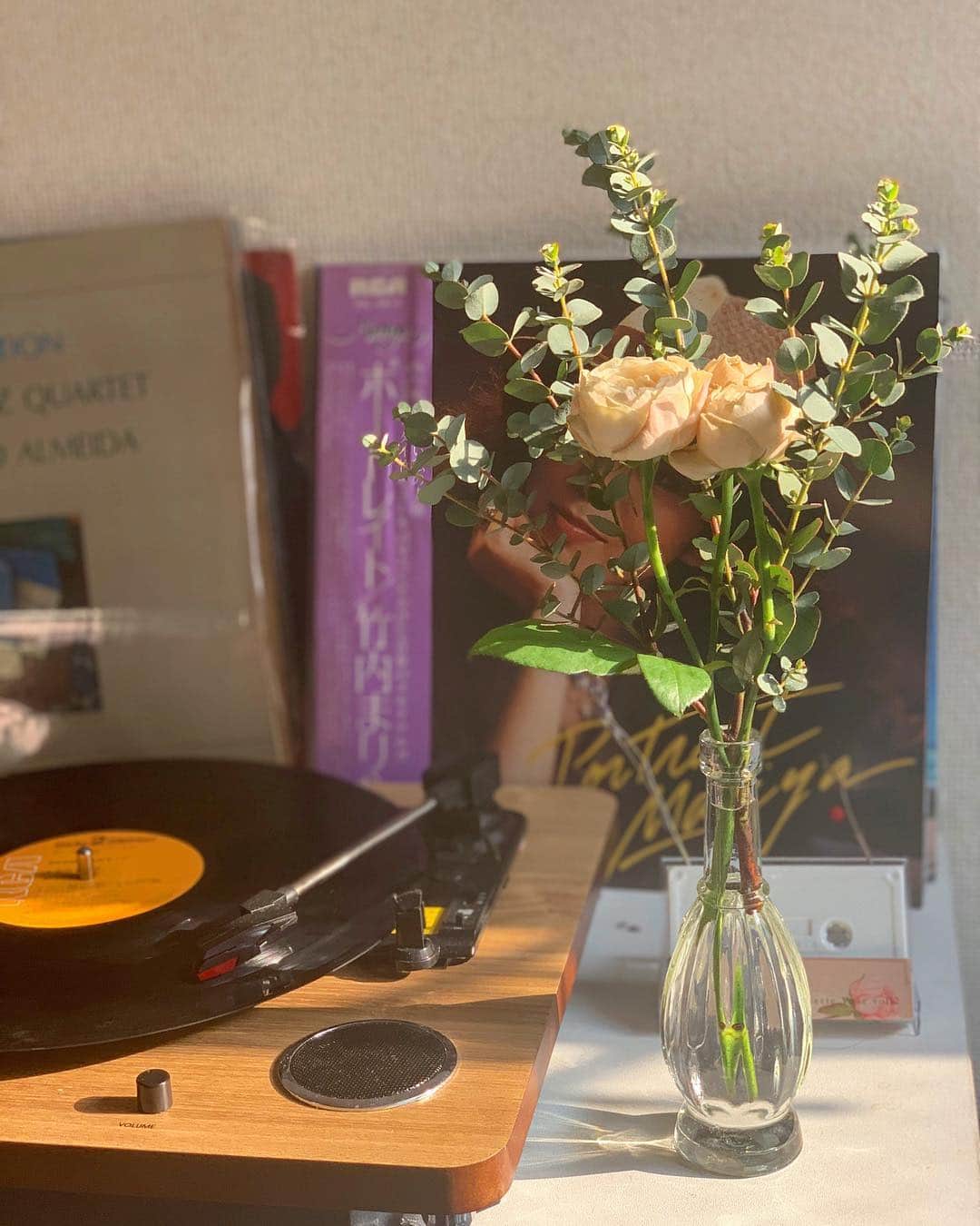 池田莉子さんのインスタグラム写真 - (池田莉子Instagram)「一緒に呼吸☺️🌱🌱﻿ レコードといい香りのフェアビアンカとユーカリに﻿﻿ 癒されるしあわせな朝。﻿﻿ ﻿﻿ @kuma_ken @saori_ohwada お二人の﻿﻿ ポップアップで買った大切なお花🌼﻿﻿ いつかいい香りのお花とヨガのコラボもしましょうね！﻿﻿ ﻿ みんなレコードどこで買ってるのかな﻿ 好きな人色々集めたくなっちゃう。。﻿ ﻿ さぁ今日は雨の日ソングに浸ろう☔️🎶 ﻿﻿ #flower #rose #record #moaning﻿﻿ #お花 #フェアビアンカ #ユーカリ #レコード ﻿ #お花とヨガ」4月10日 8時49分 - ricoikeda