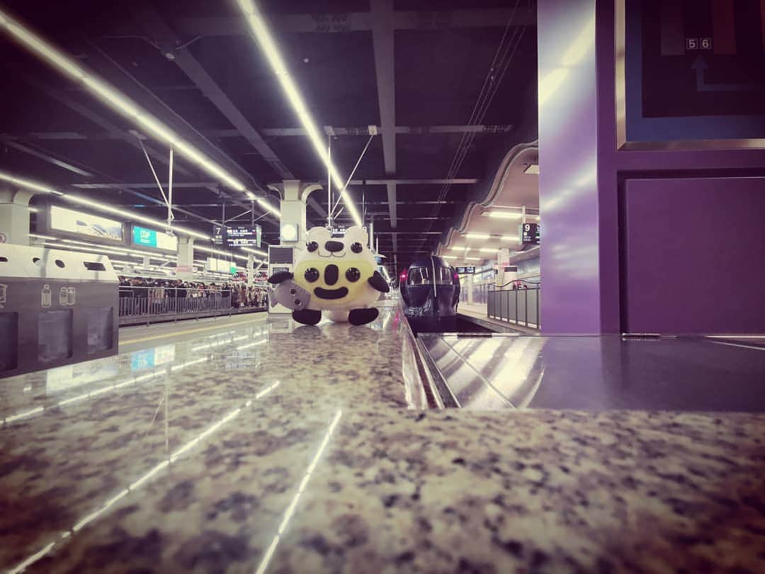 のインスタグラム：「#airportexpress #ラピート」