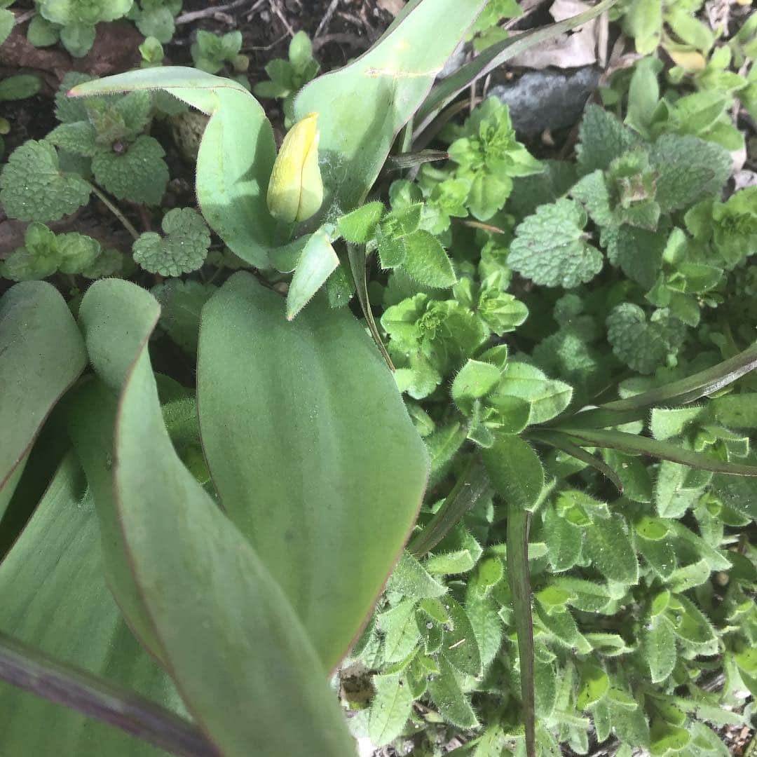 魔女菅原のグルメインスタ