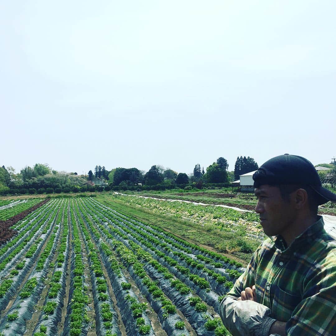 journaleatripさんのインスタグラム写真 - (journaleatripInstagram)「. . organic town . . . "ほんものセンター" 地域の農家さんが👩‍🌾 持ち寄る直売所。  昭和63年から続く 栽培規定は 土壌状態、 農薬散布の回数で金、銀、銅 で 区分され販売されている。 その名のとおり ほんものでした。 綾町。」4月10日 9時14分 - eatripjournal
