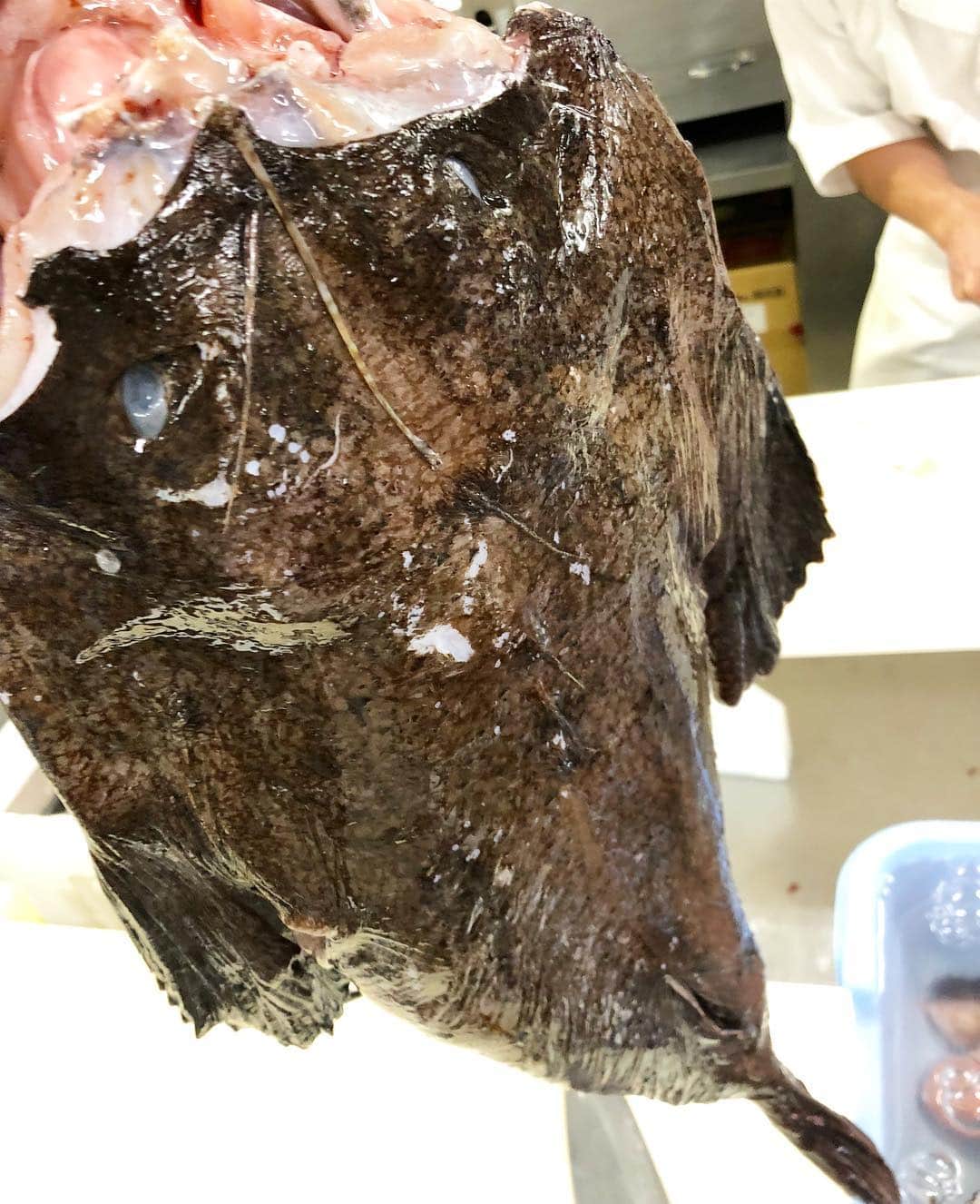 寿司居酒屋 番屋のグルメインスタ