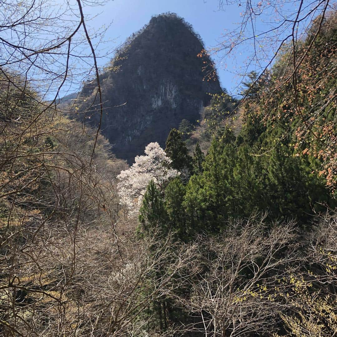 平山ユージさんのインスタグラム写真 - (平山ユージInstagram)「Short trip around Okutama. Looking for new area also climb some of new routes and new boulder with @sachiamma and all the crew. All the pics are special moments of last day of @chris_sharma Trip in Japan 🇯🇵 Hopefully he enjoyed and  coming back to Japan. クリスの短い日本の旅も最後となりました。最終日はサチやクリスそして仲間たちと新しいエリアで可能性を探ったり、登ったりした。この写真は全て旅最終日の特別な時間を写しています。 楽しんでもらえたかなー、日本にまた来て欲しいですね。 Photo @deloprojet  @thenorthfacejp  @beal.official  @blackdiamond  @climbskinspain  @tripledyno  @maechan82kgclimber  @boulderpark_basecamp  @climbparkbasecamp  @basecamptokyo」4月10日 9時49分 - yuji_hirayama_stonerider