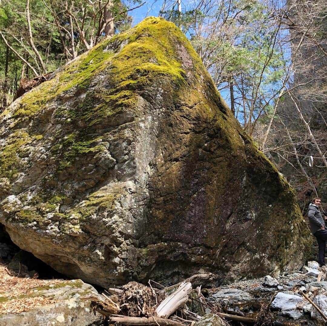 平山ユージさんのインスタグラム写真 - (平山ユージInstagram)「Short trip around Okutama. Looking for new area also climb some of new routes and new boulder with @sachiamma and all the crew. All the pics are special moments of last day of @chris_sharma Trip in Japan 🇯🇵 Hopefully he enjoyed and  coming back to Japan. クリスの短い日本の旅も最後となりました。最終日はサチやクリスそして仲間たちと新しいエリアで可能性を探ったり、登ったりした。この写真は全て旅最終日の特別な時間を写しています。 楽しんでもらえたかなー、日本にまた来て欲しいですね。 Photo @deloprojet  @thenorthfacejp  @beal.official  @blackdiamond  @climbskinspain  @tripledyno  @maechan82kgclimber  @boulderpark_basecamp  @climbparkbasecamp  @basecamptokyo」4月10日 9時49分 - yuji_hirayama_stonerider