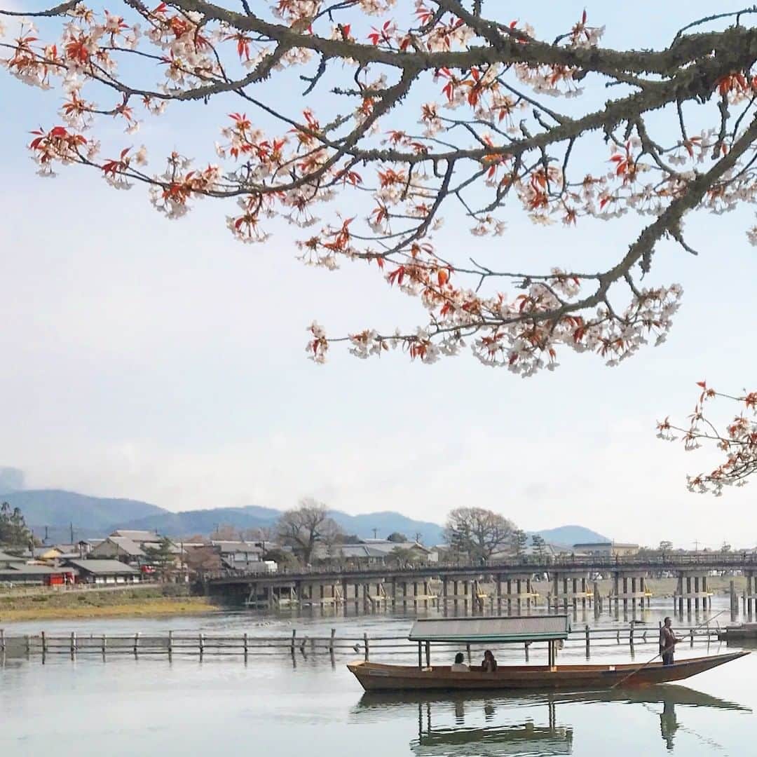HOSHINOYA｜星のやさんのインスタグラム写真 - (HOSHINOYA｜星のやInstagram)「A peaceful spring morning in Arashiyama. #hoshinoyakyoto #kyoto #arashiyama #hoshinoya #hoshinoresorts #togetsukyo  #星のや京都 #京都 #嵐山 #星のや #星野リゾート」4月10日 9時50分 - hoshinoya.official