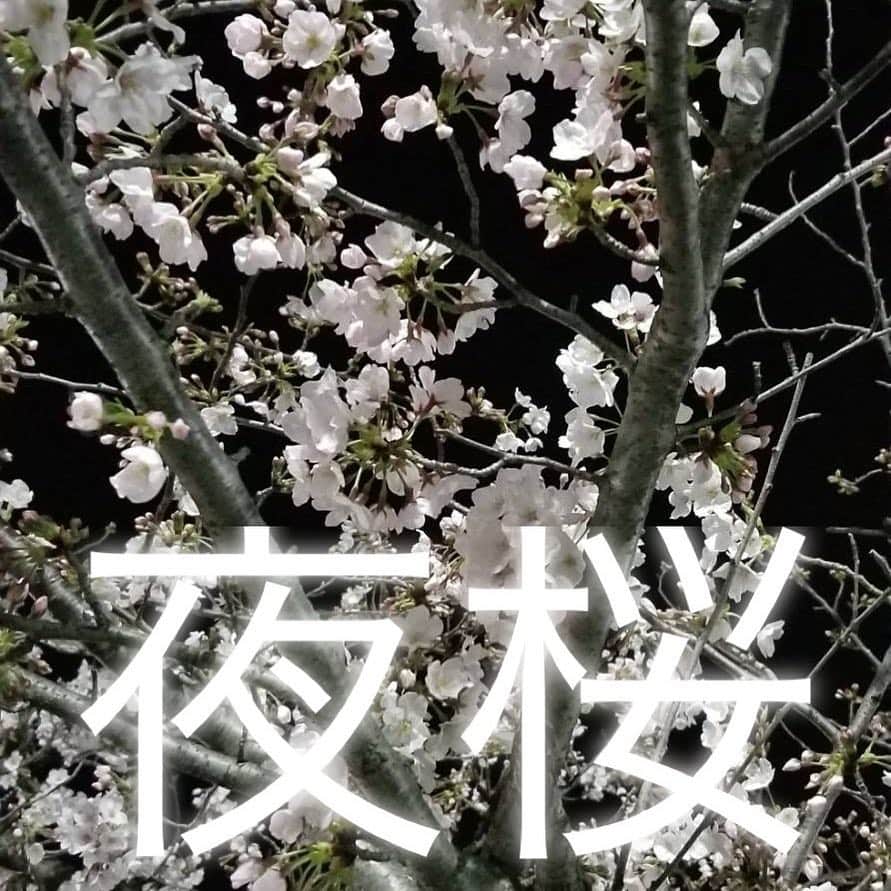 かるび家 梅田店のグルメインスタ