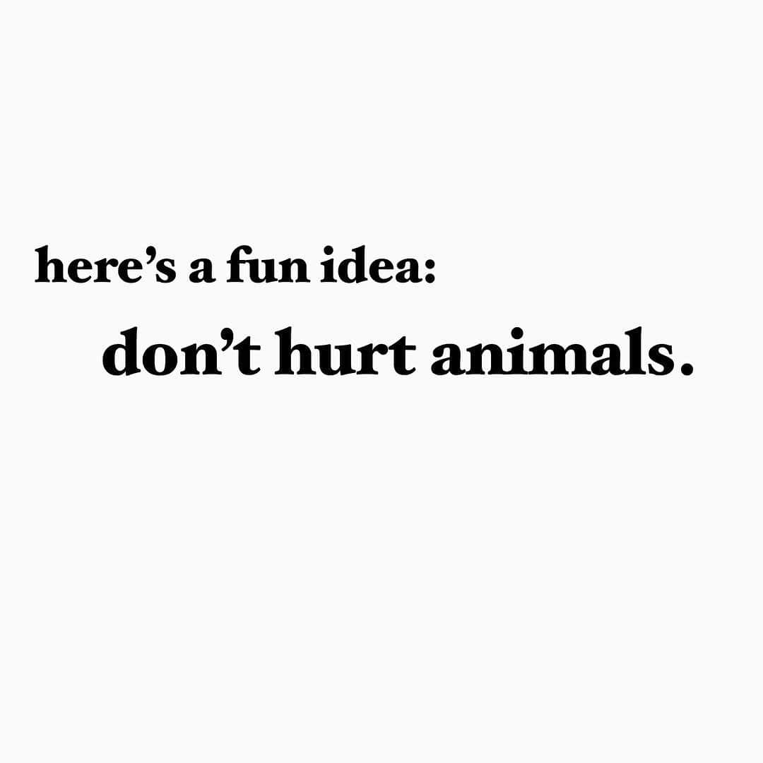 モービーさんのインスタグラム写真 - (モービーInstagram)「It’s one of the weirdest things about being an animal rights activist, convincing people of what they already know: that hurting animals is always wrong. It’s even weirder when we say that hurting animals is wrong, and people ridicule us even though they agree with us. #animalliberation #animalrights」4月10日 10時13分 - moby