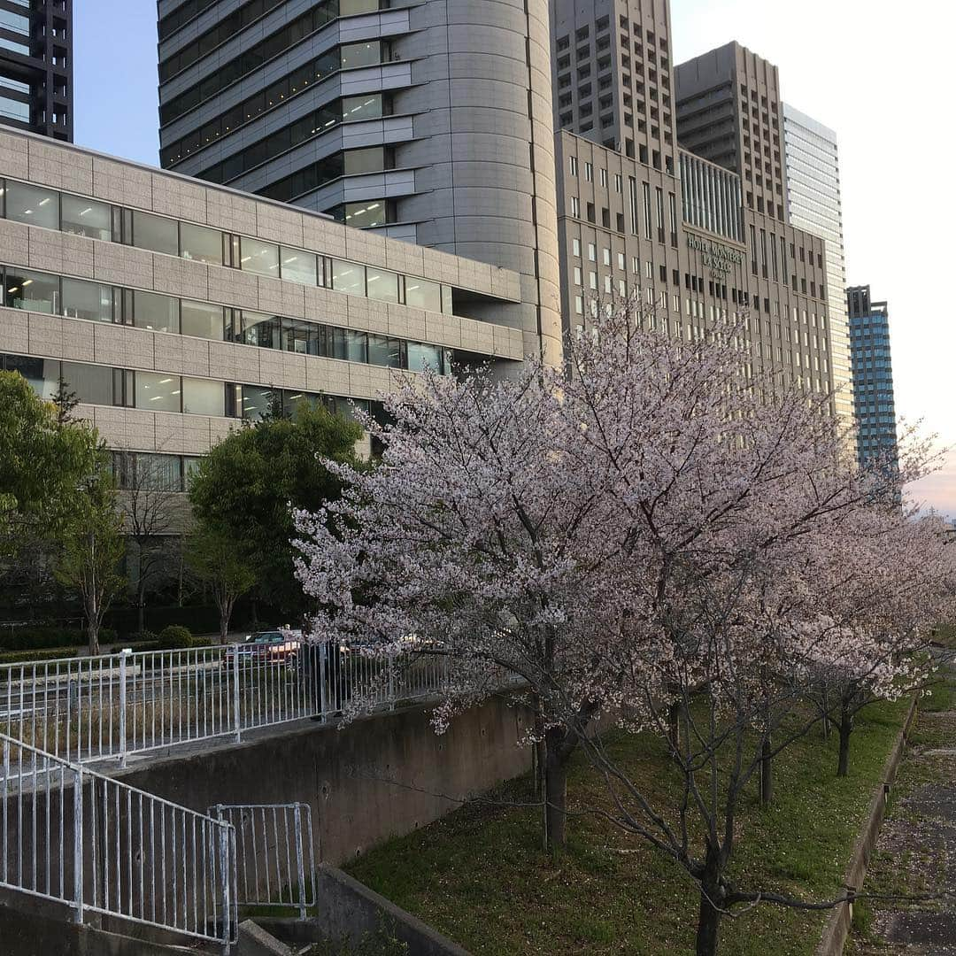 牧野誠三さんのインスタグラム写真 - (牧野誠三Instagram)「すみません、春、盛りのこの季節に、窓が曇るほど、外の寒さは推して知るべし。 厚着になって出勤です。 ちなみに、昨日のytv前のさくらは春爛漫🌸でした。  #ytvアナウンサー  #窓 #寒い春  #牧野誠三  #桜」4月10日 10時31分 - makino_seizo_freeter