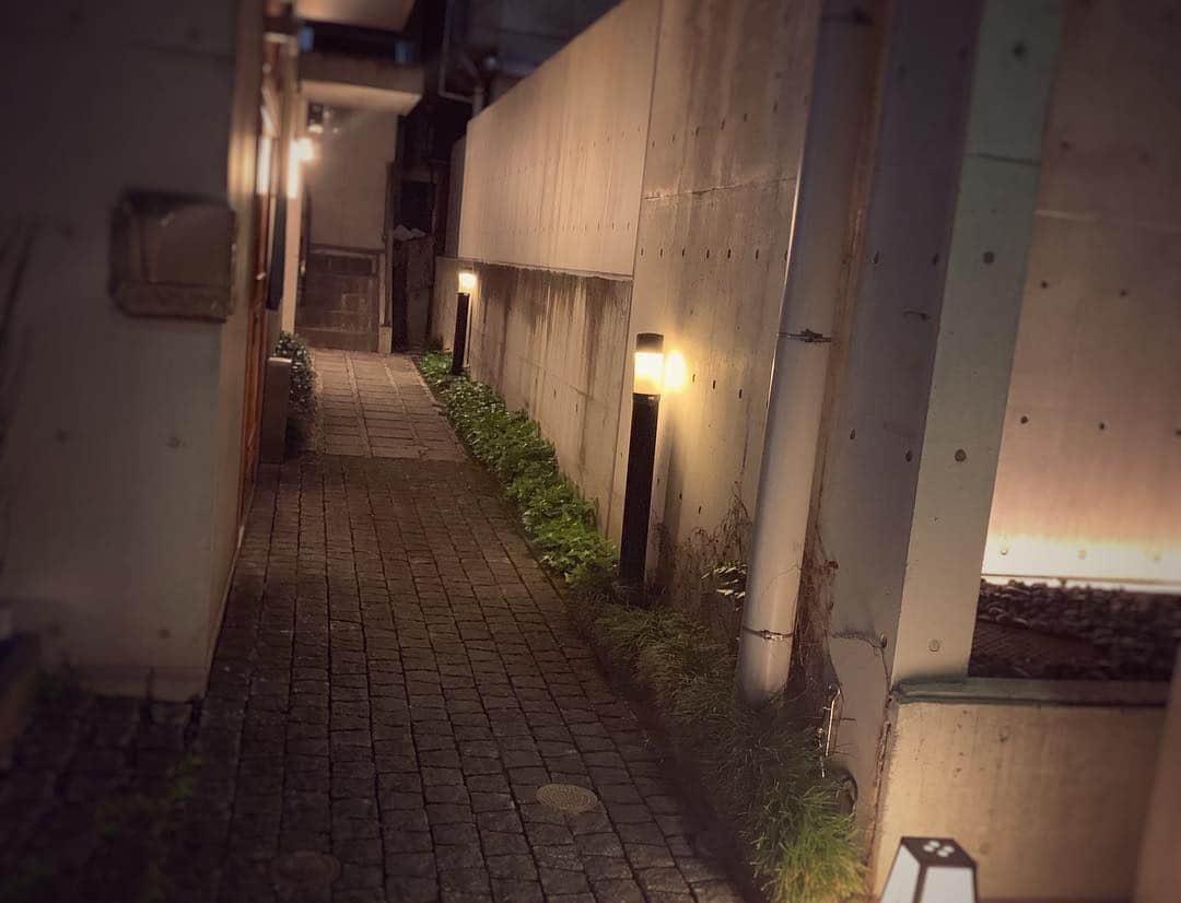 透水さらささんのインスタグラム写真 - (透水さらさInstagram)「『西麻布  〆る』﻿ @nisiazabu_shimeru ﻿ ﻿ 我が家の、大井町のそうめんやはやし﻿ @soumen_hayashi ﻿ の二店舗目になります😊﻿ ﻿ ﻿ 主人の本職では無いのですが 笑笑﻿ ﻿ 美味しい季節の食材や、高級食材を使ったそうめんなど、、、﻿ お酒の種類も多く、ソムリエさんもおります🍷﻿ ﻿ ﻿ ふらっと西麻布におこしくださいー﻿ ﻿ ﻿ 西麻布  〆る﻿ ﻿ 東京都港区西麻布２丁目２４−１４, サフヤ西麻布1階右手奥﻿ ﻿ 19時から営業しております🙇‍♂️ ﻿ ﻿ 昨日は仲良しのしーちゃん(@midorikawa_shizuka )と、娘とご飯食べにきてました😊 #西麻布〆る #西麻布 #そうめんやはやし #二号店 #シメ#緑川静香ちゃん #しーちゃん#透水さらさ #時々おります 笑 #店主は西島さん！(@masakazunishijima )  そして、動画はしーちゃんが私の娘のお世話をしてくれている 🤣」4月10日 10時43分 - sarasarasarasa0623