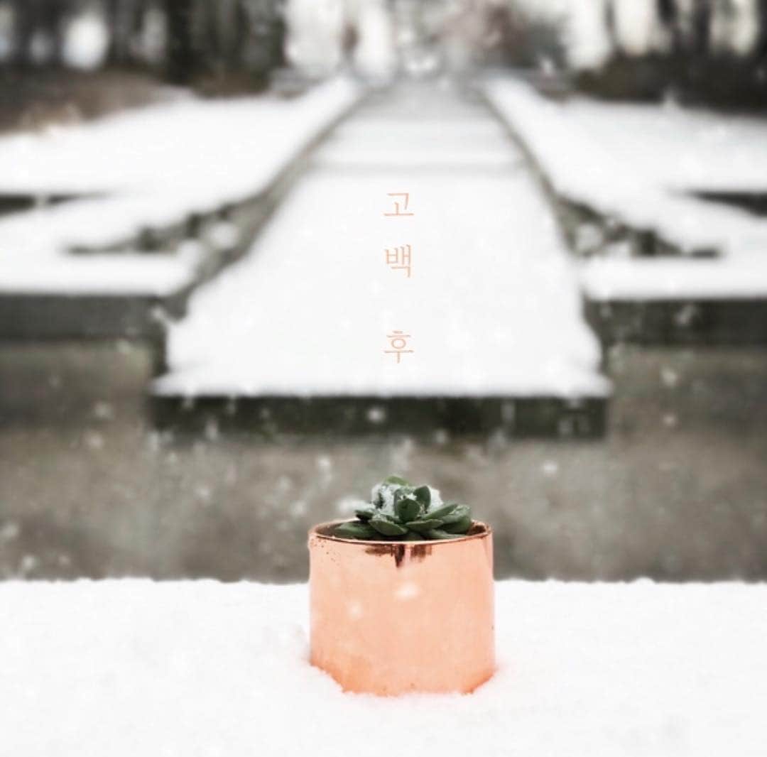パク・キヨンさんのインスタグラム写真 - (パク・キヨンInstagram)「스튜디오 라이브의 꽃 <싱포 유>로 탄생한 곡들입니다.  2017년 스튜디오 라이브에서는 <안아줘 안아줘><거짓말><Baby><그날들><2015년 늦가을><작은사람><취준생><I love you too>까지 총 8곡이 팬분들의 사연으로 만들어져 공연되었고 싱글앨범과 라이브 앨범으로 발매가 되었습니다.  2018년 스튜디오 라이브에서는<rain rain rain><I have a dream><상처받지마><고백 후> 이렇게 네 곡이 만들어져 싱글앨범과 정규앨범에 실렸고요. 이번 2019년에도 매 공연마다 싱포유 곡들이 한 곡씩 만들어지고 있습니다!  그런데! 세상에 이런 일이,,,😭 20일 공연의 싱포유 사연이,,,사연이,,,현재까지 없습니다😭😭😭 6일, 13일, 27일 사연은 마감이 되었는데 20일은 아직 단 한 분도 사연을 보내지 않으셨어요... 지난 2년 동안, 싱포유 사연자 분들의 인터뷰도 촬영하고 소개도 되고 했는데, 당시 인터뷰가 제대로 빨리 나가지 못해 상처받은 분들도 계실 것 같다는 생각을 했습니다. 이 부분은 정말 죄송하게 생각합니다...끝까지 챙기지 못한 제 불찰이에요ㅠㅠ 얼굴이나 이름이 밝혀지는 것이 부담스러울까 소개를 하지 않은 분들도 물론 계십니다😊  창작자는 주로 자신의 내면을 주제로 이야기를 풀어내 작품을 만듭니다. 하지만 싱포유는 제 이야기가 아닌, 스튜디오 라이브를 찾아와 주시는 팬 여러분들의 이야기로 만들어지는 노래입니다. 그래서 더욱 특별하고 소중합니다.  그동안 스튜디오 라이브 앵콜 순서인 싱포유를 통해 공연 당일 자신만의 노래를 갖게 되는 기쁨을 누리시고, 저에게 저만의 창작이 아닌 함께하는 행복을 누리게 해주신 모든 분들께 다시 한 번 진심으로 감사드립니다.🙇🏻‍♀️🙇🏻‍♀️🙇🏻‍♀️ 가슴아프고 안타까운 사연들을 통해서는 그 고통에 공감해 모두 다같이 응원하며 슬픔을 덜어내는 큰 위로가 있었고, 기쁘고 즐거운 사연들을 통해서는 기쁨이 배가 되는 즐거움이 있었습니다.  싱포유는 그 곡을 연주하고 들을때마다 사연의 주인공을 떠올리게 됩니다. 잘 지내고 계신가요? 보고싶네요... 20일 공연의 싱포유 사연을 보내주세요🤗 mlpp0302@naver.com 으로 보내주시면 정성껏 읽고 더욱 정성을 다해 작업하겠습니다. 감사합니다!  #박기영 #parkkiyoung #스튜디오라이브 #studiolive #싱포유 #singforyou #20일공연 #사연을보내주세요 #mlpp0302@naver.com #감사합니다🙏」4月10日 10時45分 - noel_bella_kiana