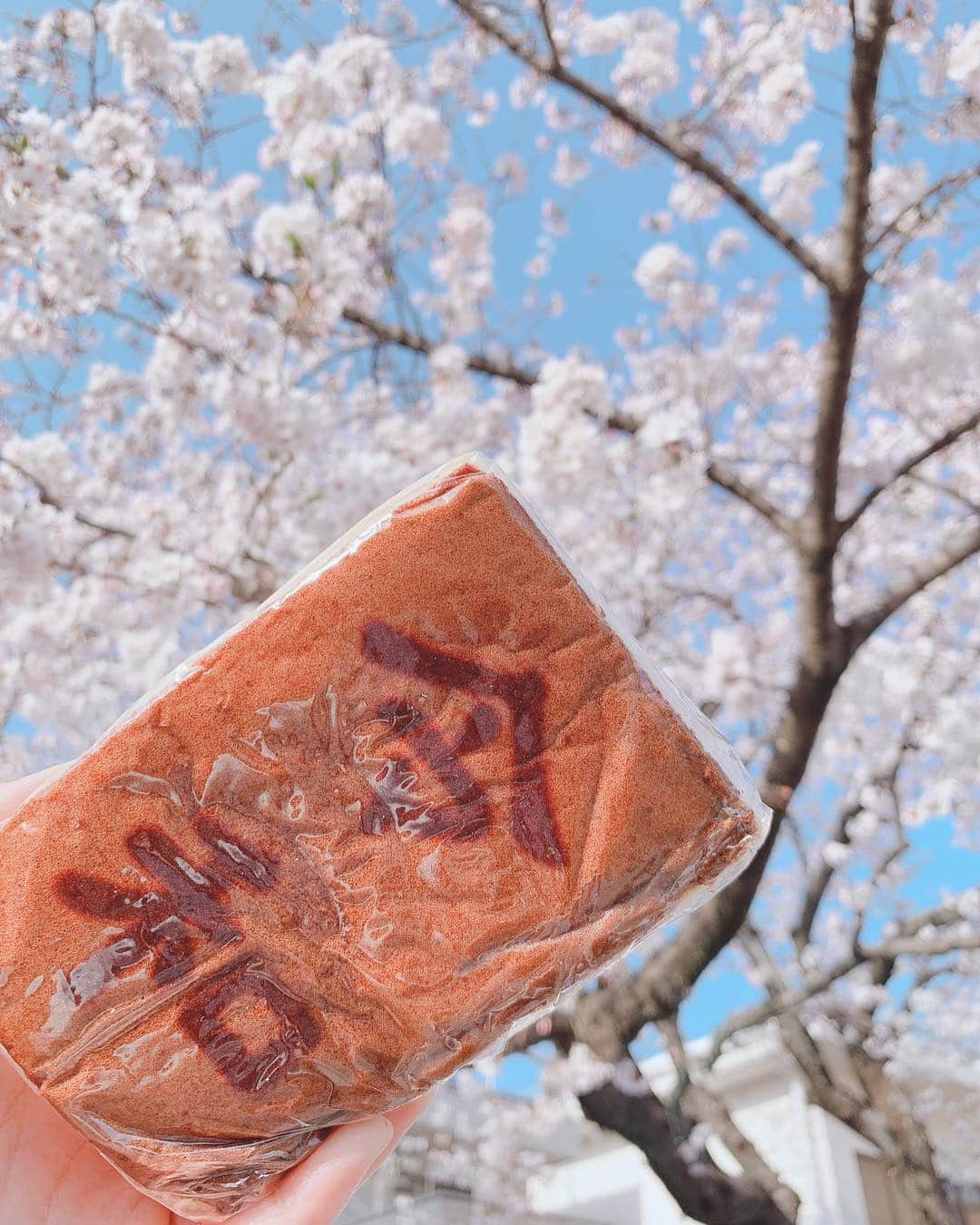 森直美さんのインスタグラム写真 - (森直美Instagram)「静岡は冷たい雨☂️桜ふんばれー！まだ終わりたくない楽しいお花見の日々🌸🌙🍻 #お花見#桜#目黒川#近所の公園#駿府城公園」4月10日 10時47分 - naomi_mori63