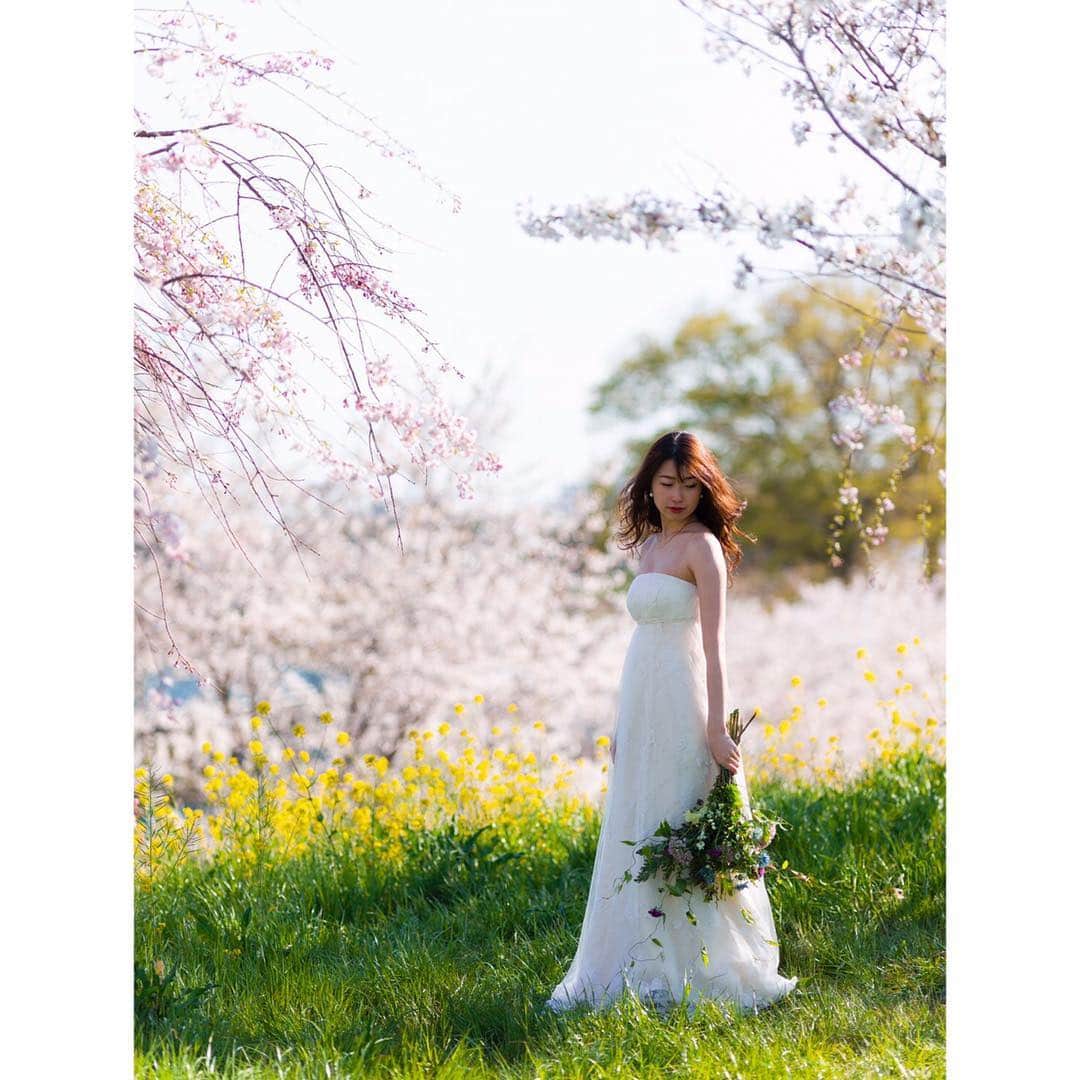 木谷有里さんのインスタグラム写真 - (木谷有里Instagram)「まるでおとぎ話の世界のような場所で撮影🌸 天気も良くて最高だった❤️ とってもステキな作品📷 ありがとうございます😉  結婚式の前撮りor後撮りする方はまた来年この時期にアンズフォトで桜と菜の花とステキなブーケと撮ることをオススメします💓💓💓 カメラマン @anzphoto.inc  フラワースタイリスト @lecoeul  カメラアシスタント @kossephoto  モデル @kitani_yuri  #前撮り #結婚 #wedding #anzphoto #lecoeulwedding」4月10日 10時50分 - kitani_yuri