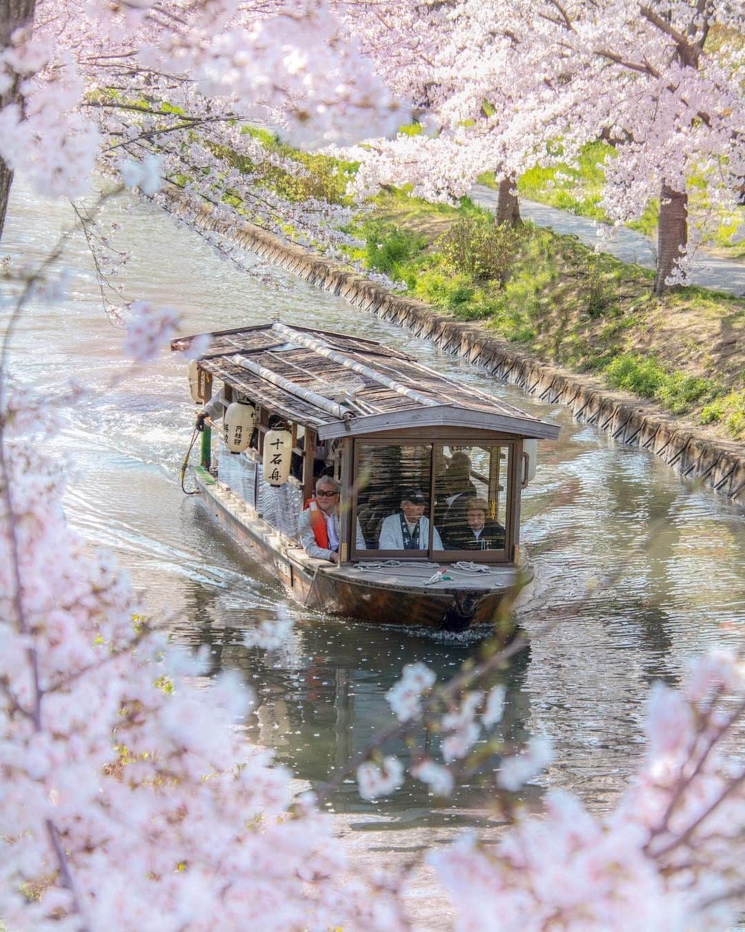 楽天トラベル さんのインスタグラム写真 - (楽天トラベル Instagram)「美しい桜の写真を全国各地から投稿いただいているのでご紹介していきます🌸こちらは @ichigo150t さんにシェアいただきました！素敵なお写真をありがとうございます😊 . ~~~~~~~~~~~~~~ さくらに囲まれた川を進む十石舟🚢 エンジン付きの船なのに風情がある姿なのが味があっていいですね🌸 ~~~~~~~~~~~~~~ . 旅先で撮った素敵な写真に @rakutentravel をタグ付けしてシェアしてね♪ 厳選してこのアカウントで紹介させていただきます！ . . #楽天トラベル #楽天  #rakutentravel #旅 #旅行 #旅に出よう #旅行好きな人と繋がりたい #travel #trip #日本 #japan #일본 #instagramjapan #IG_JAPAN #japantrip #京都 #kyoto #伏見 #伏見十石舟 #十石舟 #三十石船」4月10日 11時00分 - rakutentravel