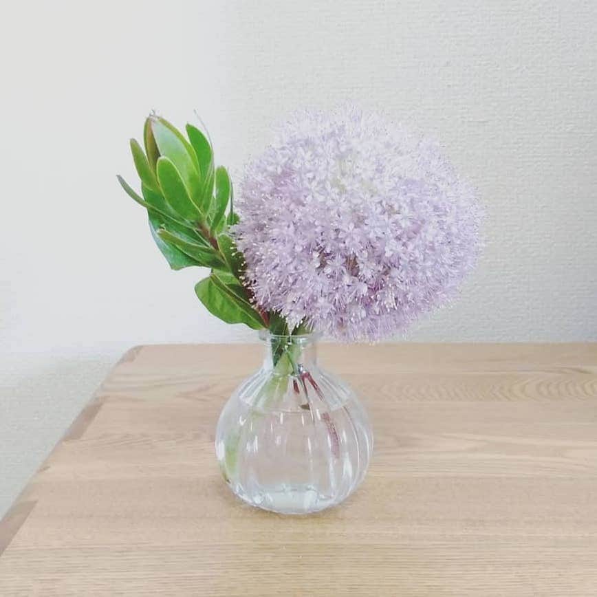 Bloomee LIFEさんのインスタグラム写真 - (Bloomee LIFEInstagram)「・⠀ #花のある暮らし ・ お庭で摘んだような可愛いお花が届きました💐 ポストに投函され 不在時でも受取可能なので便利でした☺️ ・⠀ Special Thanks Photo by⠀ @meg1006t @11ch17co @inoino0824 ・⠀ パッと目を引く紫色のお花を、 丸みのある花瓶に飾って 少し柔らかい雰囲気に🌸✨ 1枚目のお写真は、 可愛いマルティネリの空き瓶に飾ってくださいました😌🌼 ・⠀ #bloomeelife#ブルーミーライフ#花のある生活#花好きな人と繋がりたい#おうち時間#花部 #花が好き#花を飾る#暮らしを楽しむ#日々の暮らし#丁寧な暮らし#日々#お花のある暮らし#ナチュラル#素敵な休日#暮らしを整える#くらしのきほん#日々の暮らしを楽しむ#丁寧に暮らす#癒やしの時間#癒しの花#グリーンのある暮らし#生活#春#マルティネリ#おうち#アスター#暮らしの記録#暮らしづくり」4月10日 11時40分 - bloomee