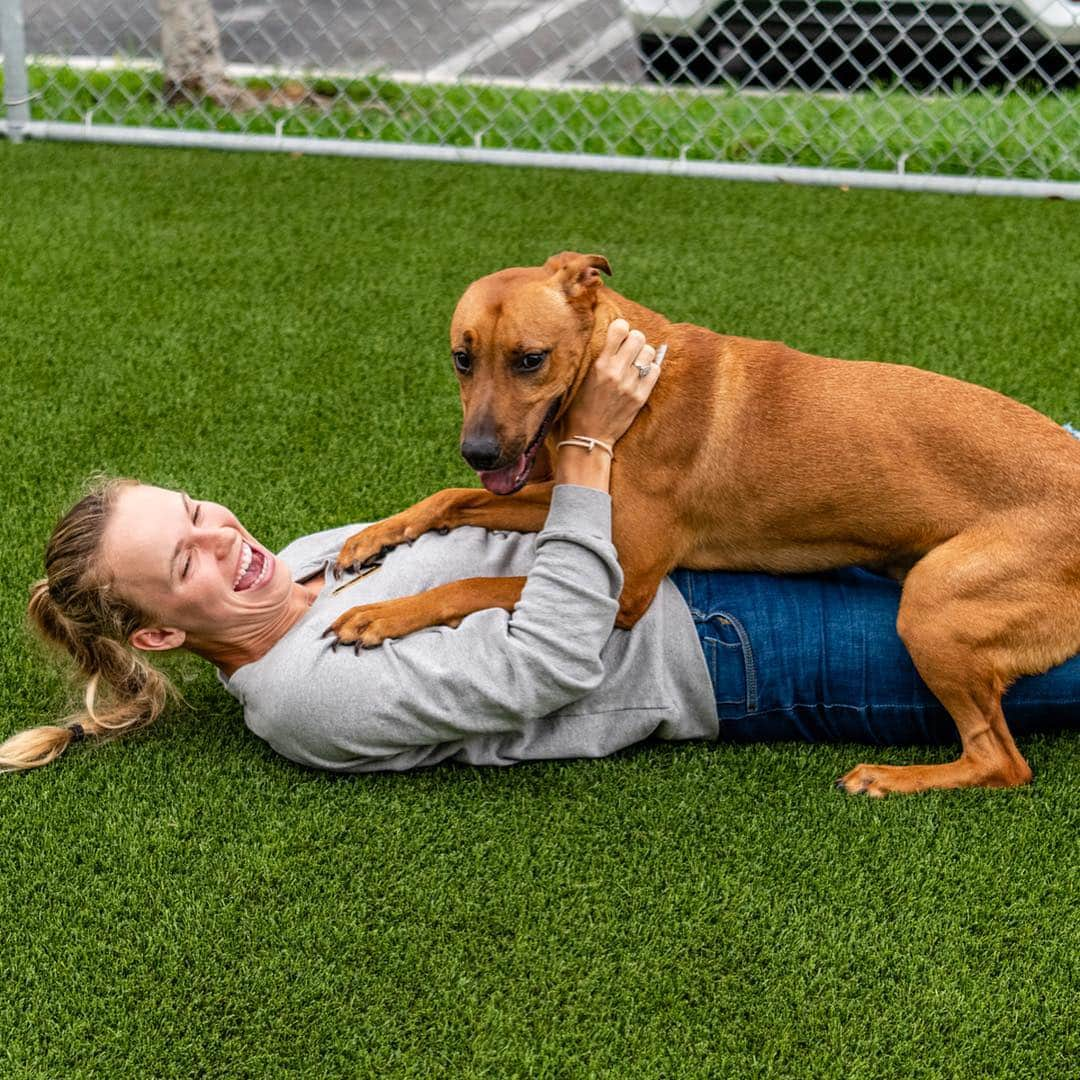 CarolineWozniackiさんのインスタグラム写真 - (CarolineWozniackiInstagram)「Great day at @miamianimalserv meeting the adorable pets for adoption. Swipe left to see some of my favorite pups from today, & please stop by the shelter to adopt and save a life! There are hundreds of sweet dogs and cats waiting for loving homes. Thanks to the Miami Open for the donation of tennis balls for the dogs, they loved them!!! 📷 @sit.snap.save #AdoptDontShop #MiamiDadeAnimalServices」4月10日 11時35分 - carowozniacki